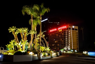 Sheraton universal hotel at night under palm trees.