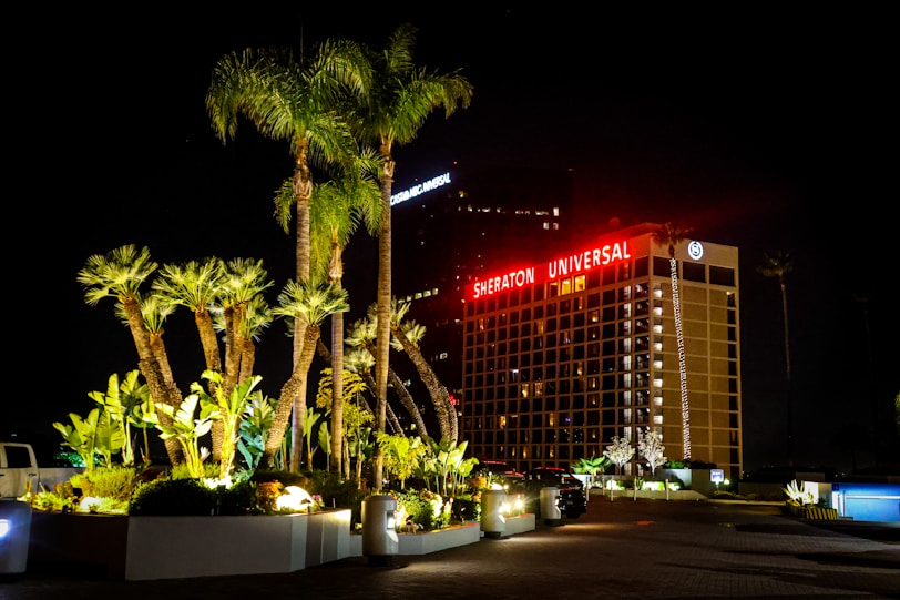 Sheraton universal hotel at night under palm trees.