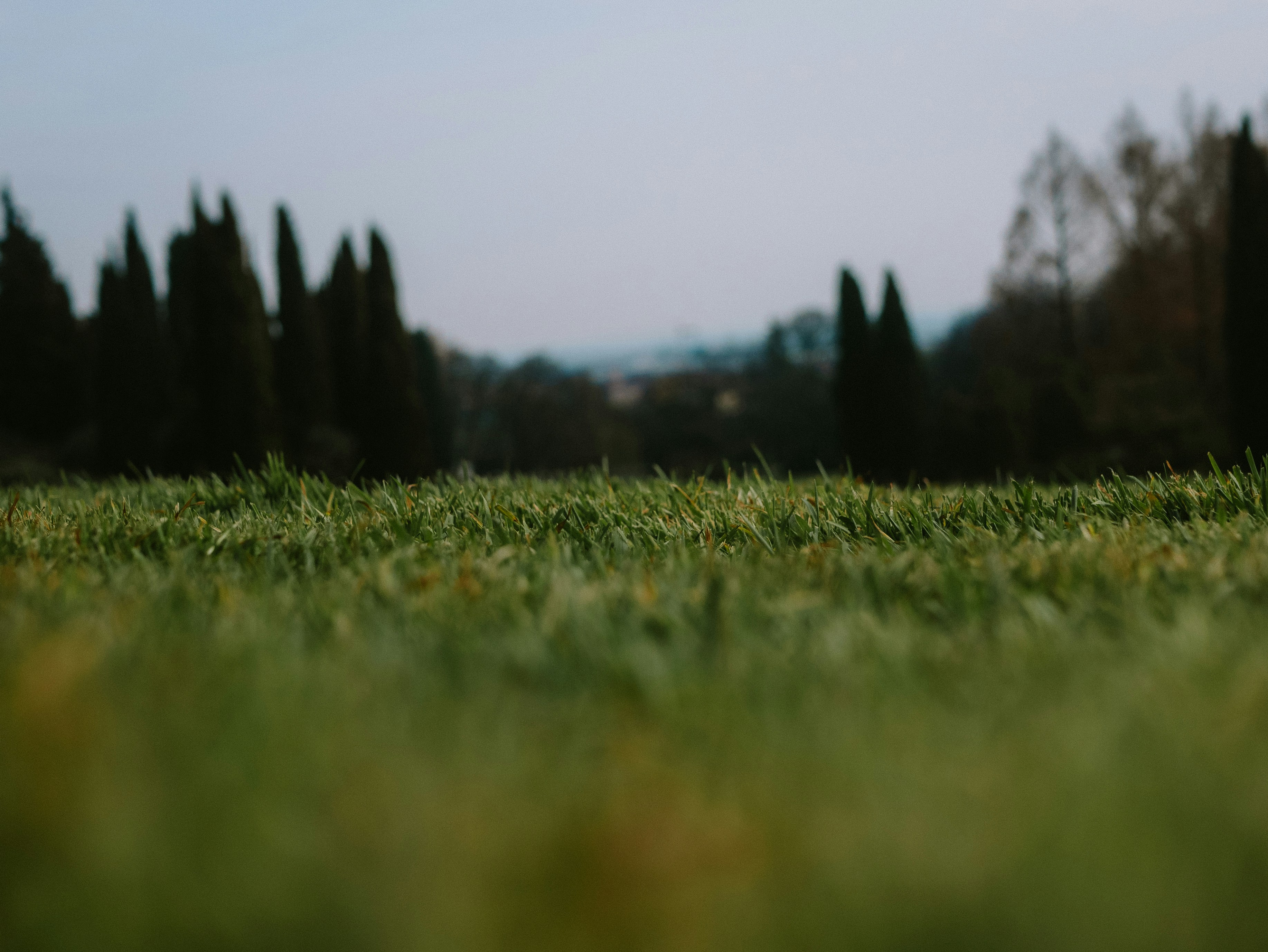 Field Kits for Independent Captains: Portable Power, Dashcams, and Wearables That Work in 2026