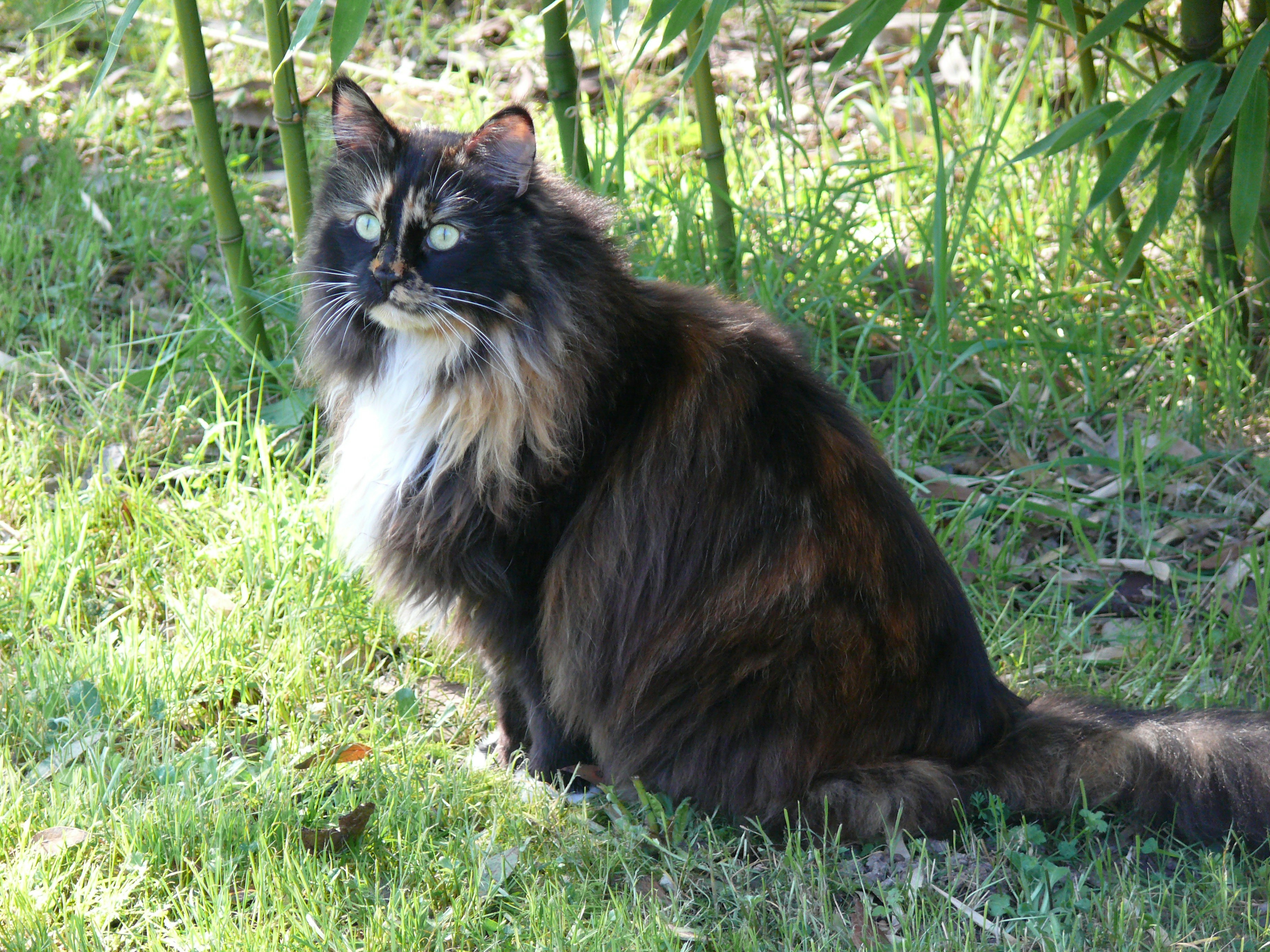 Photo by darlyn92220