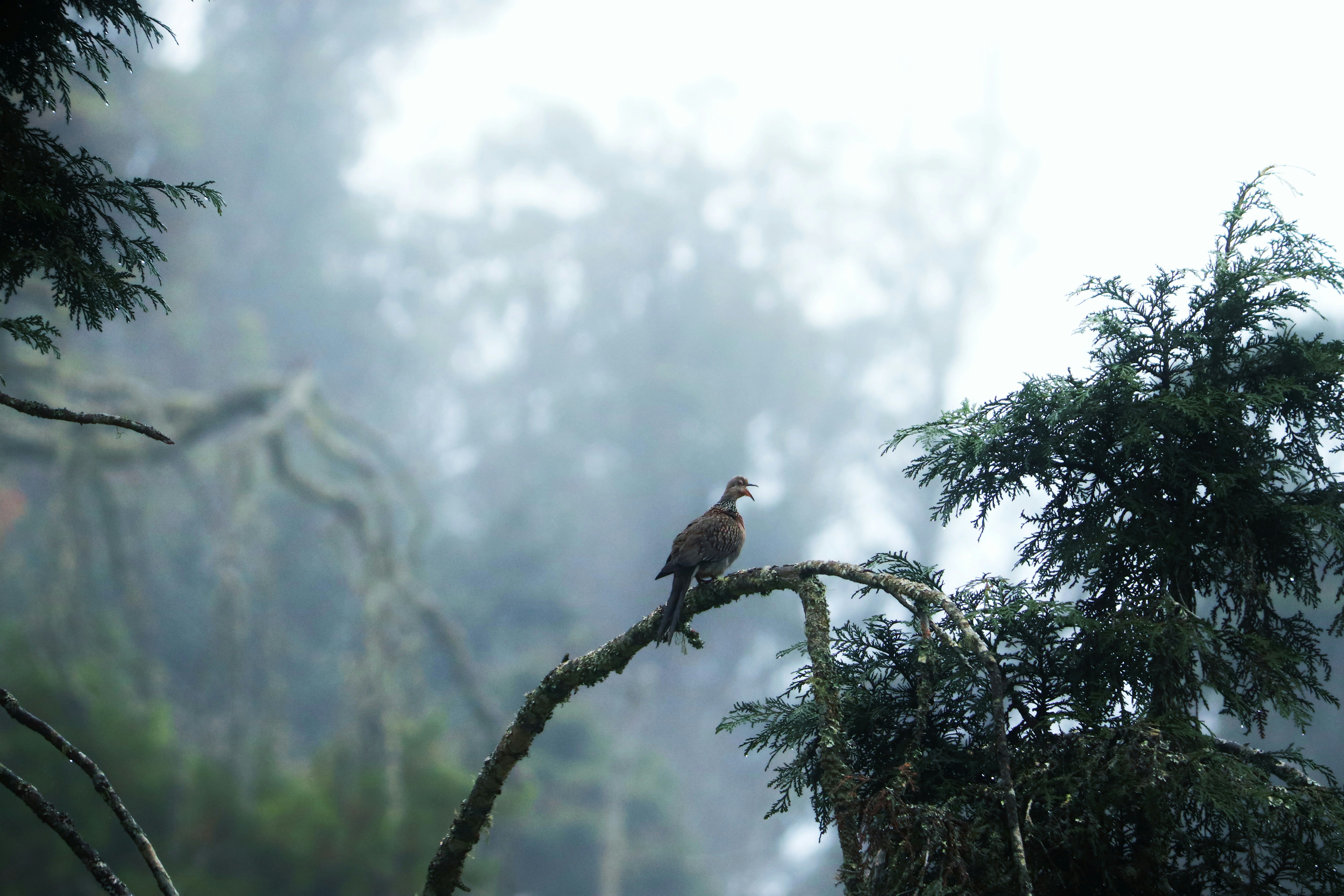 Photo by karthik_1023