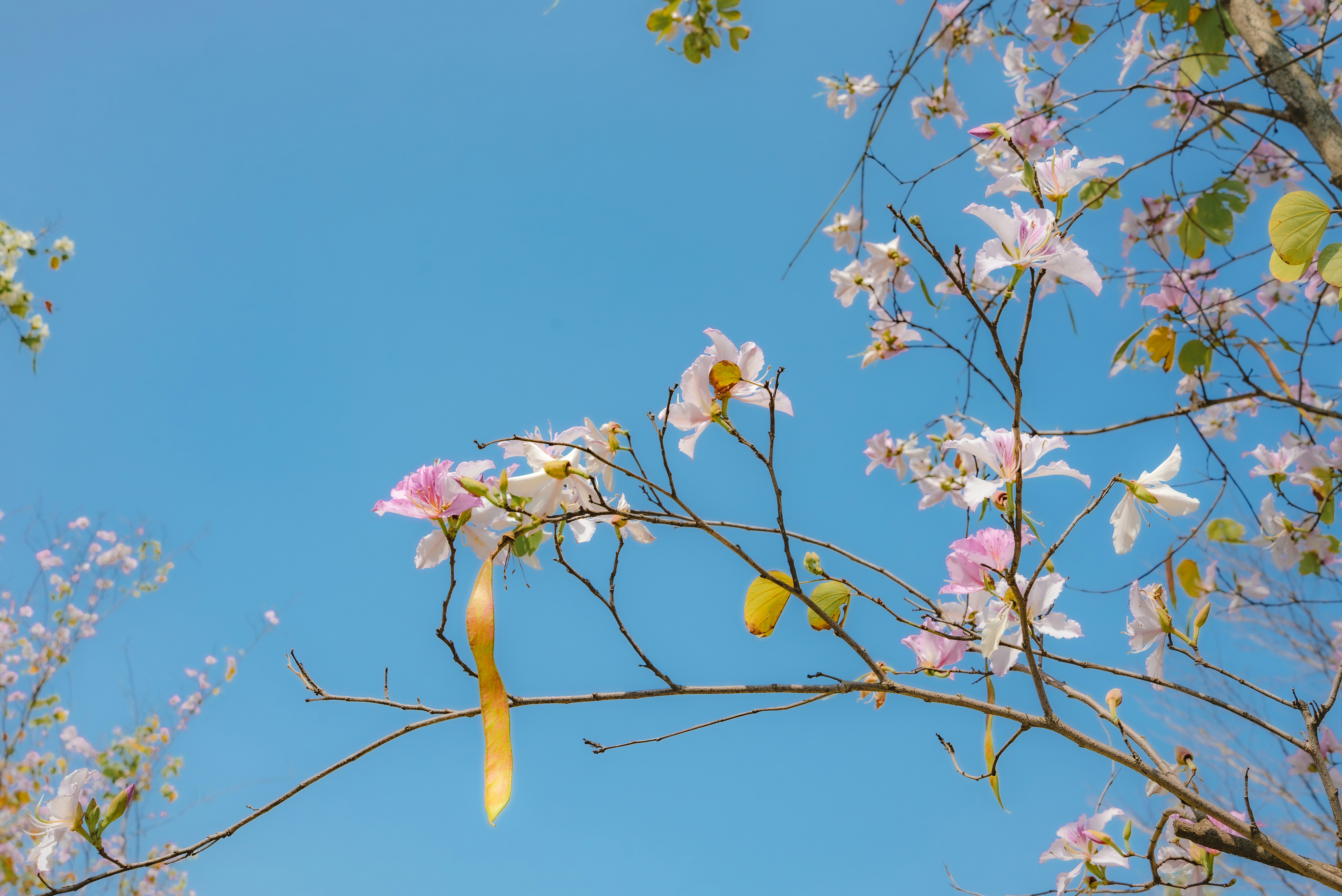 Photo by wangbinghua