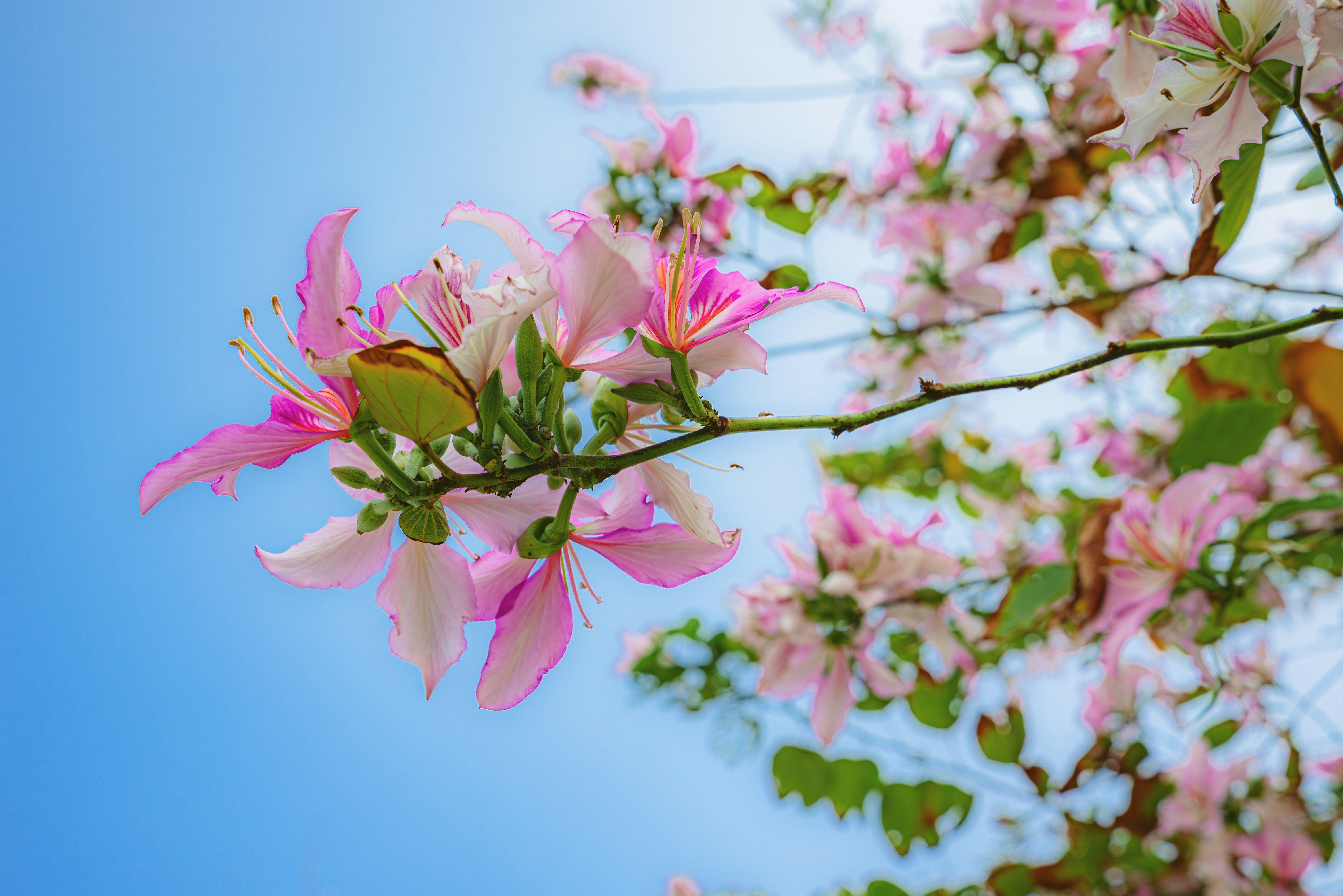 Photo by wangbinghua