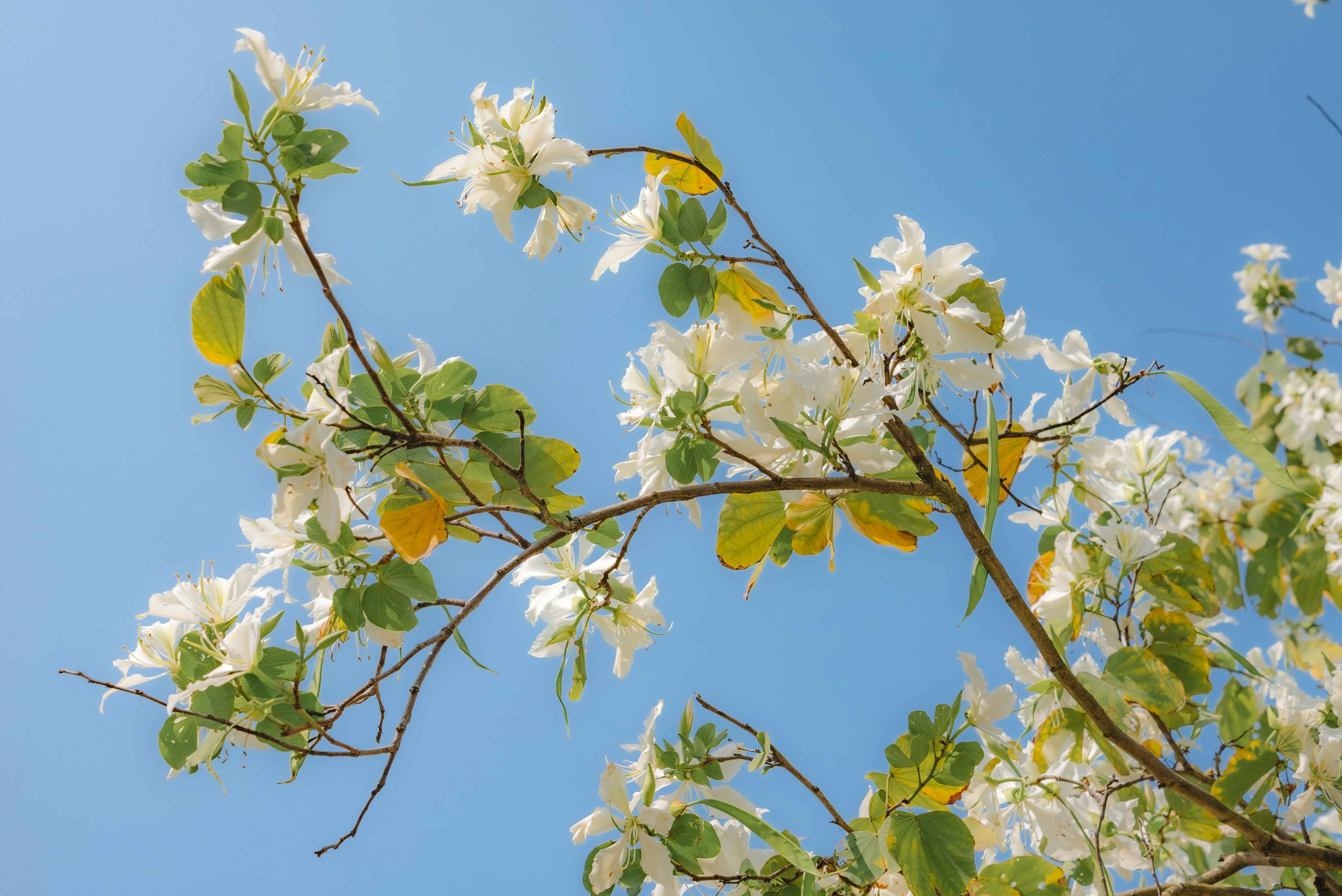 Photo by wangbinghua