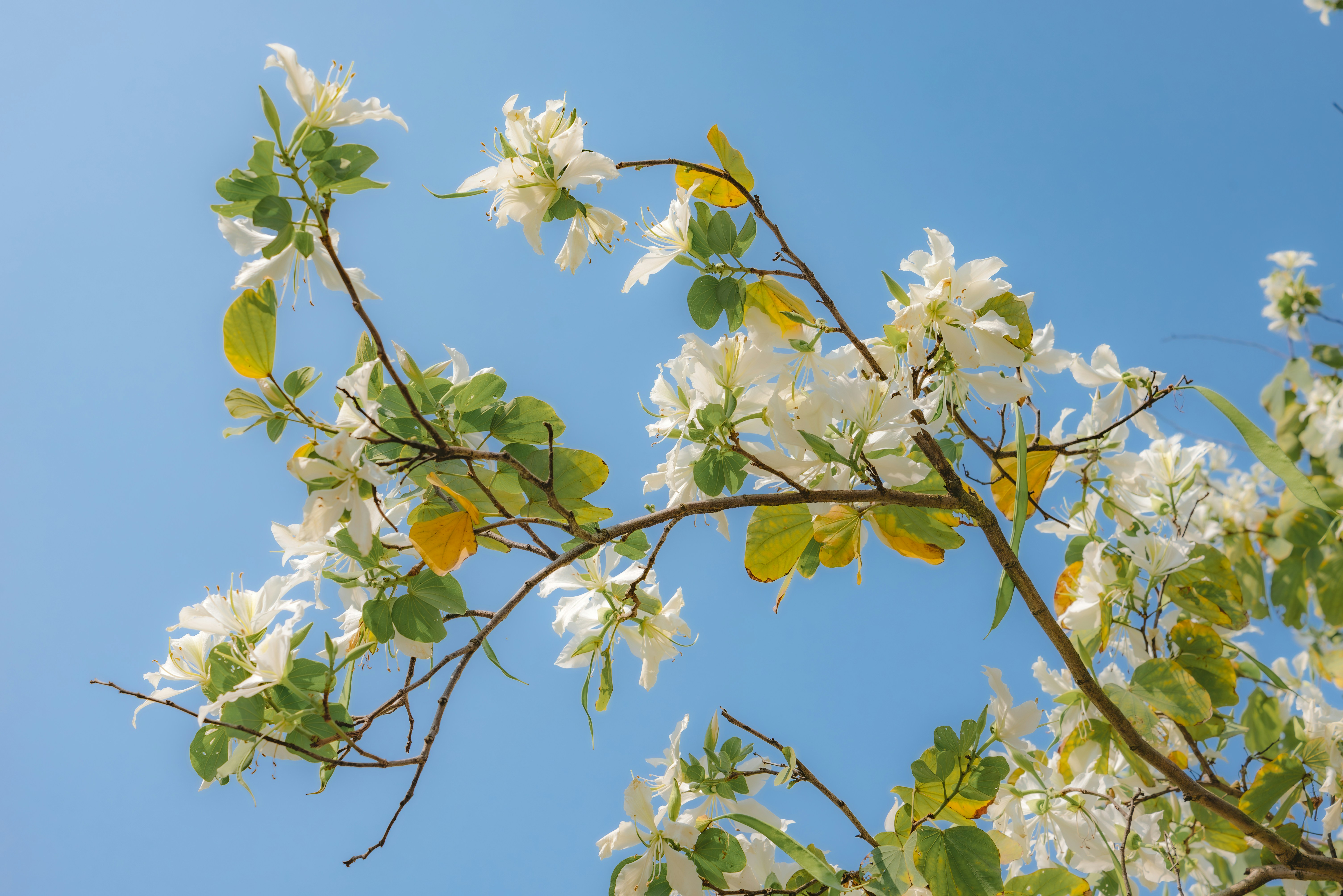 Photo by wangbinghua