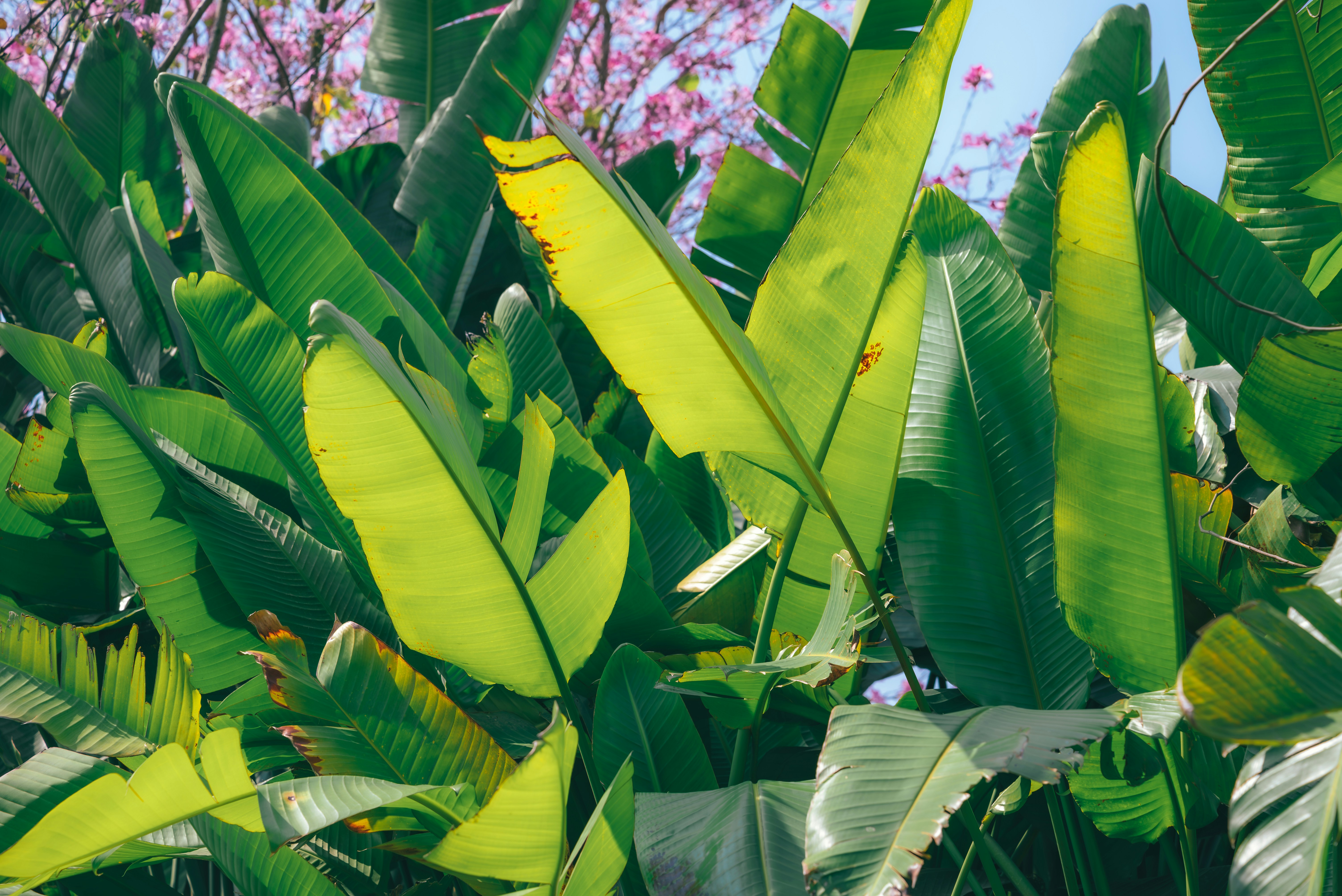 Photo by wangbinghua