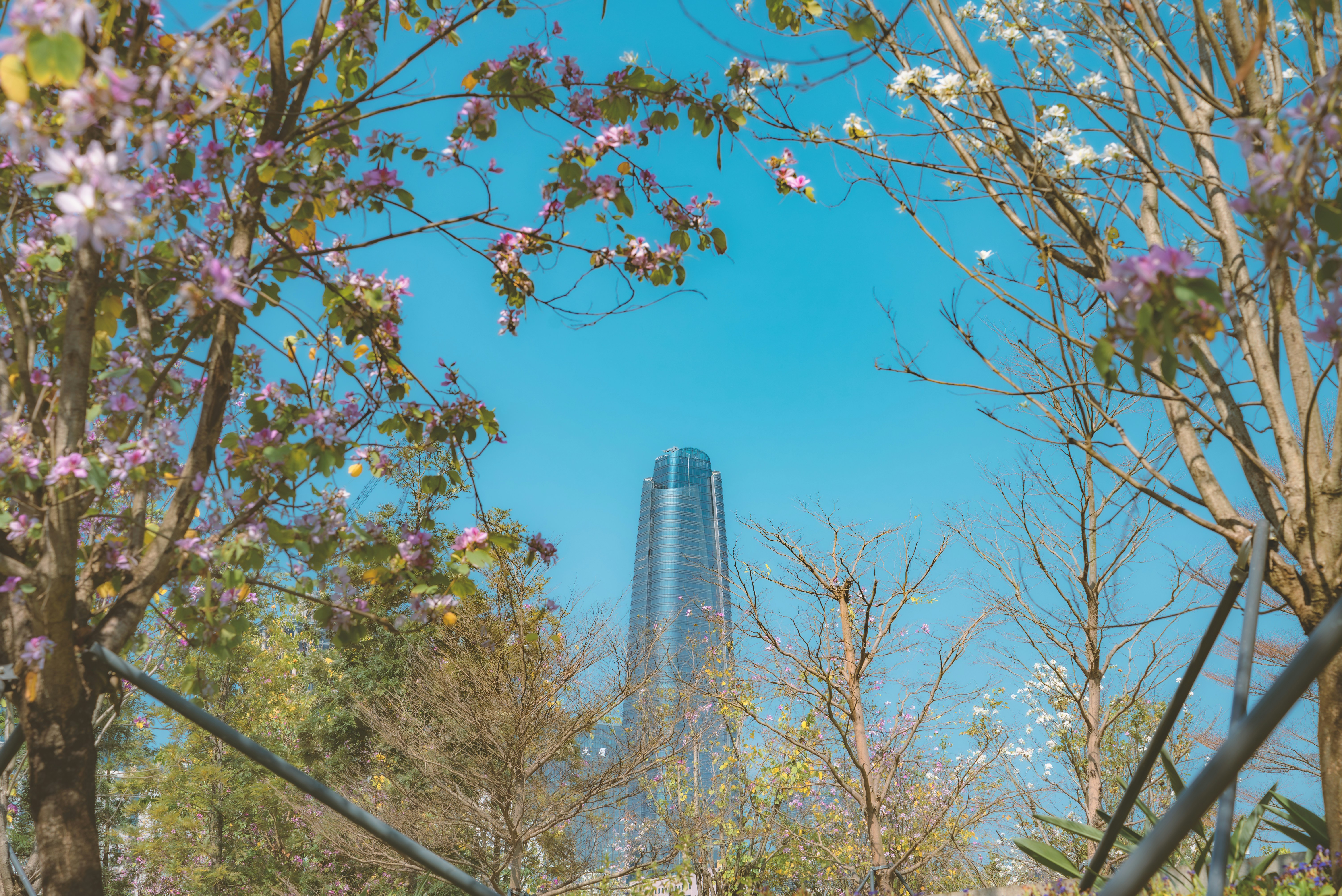 Photo by wangbinghua