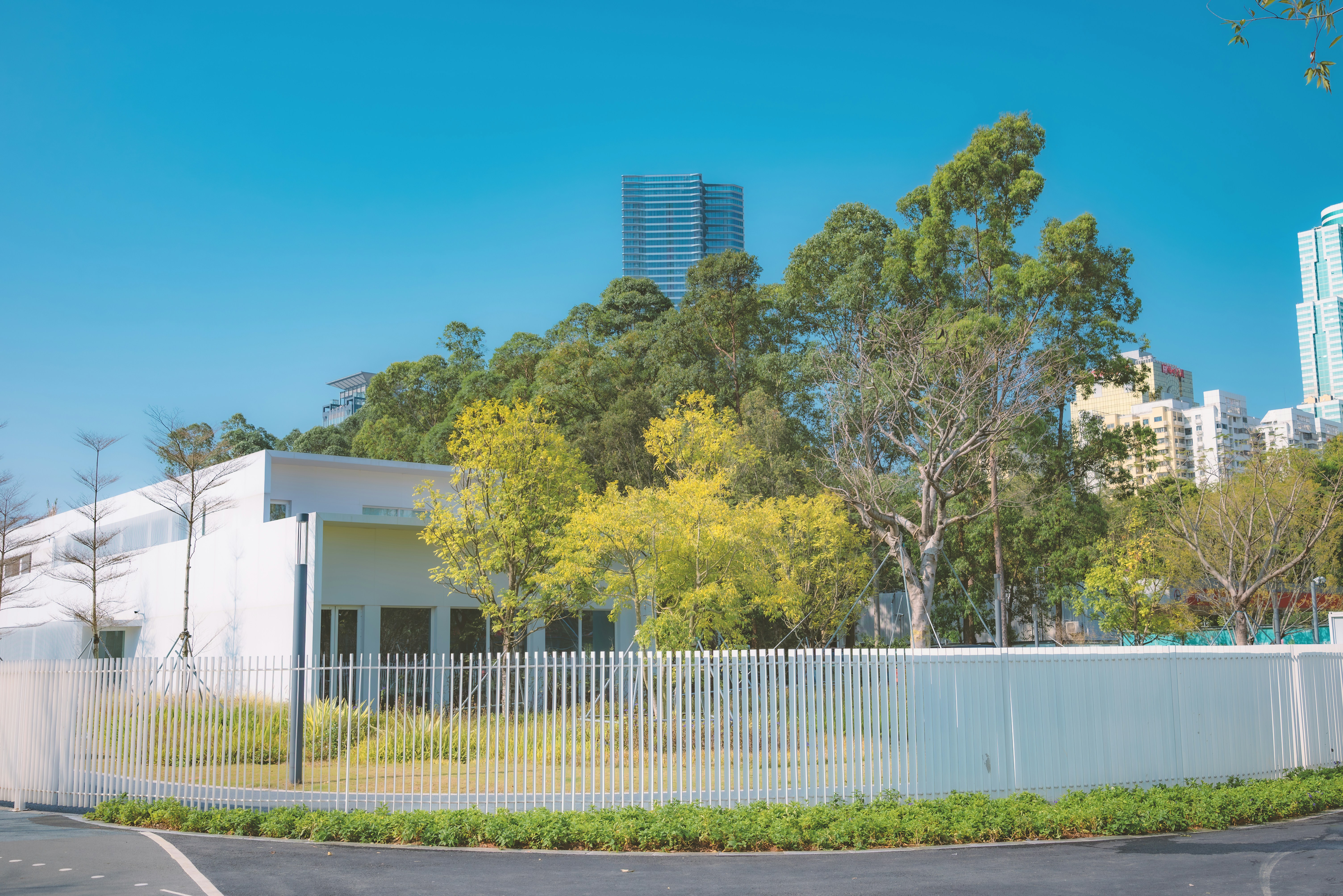 Photo by wangbinghua