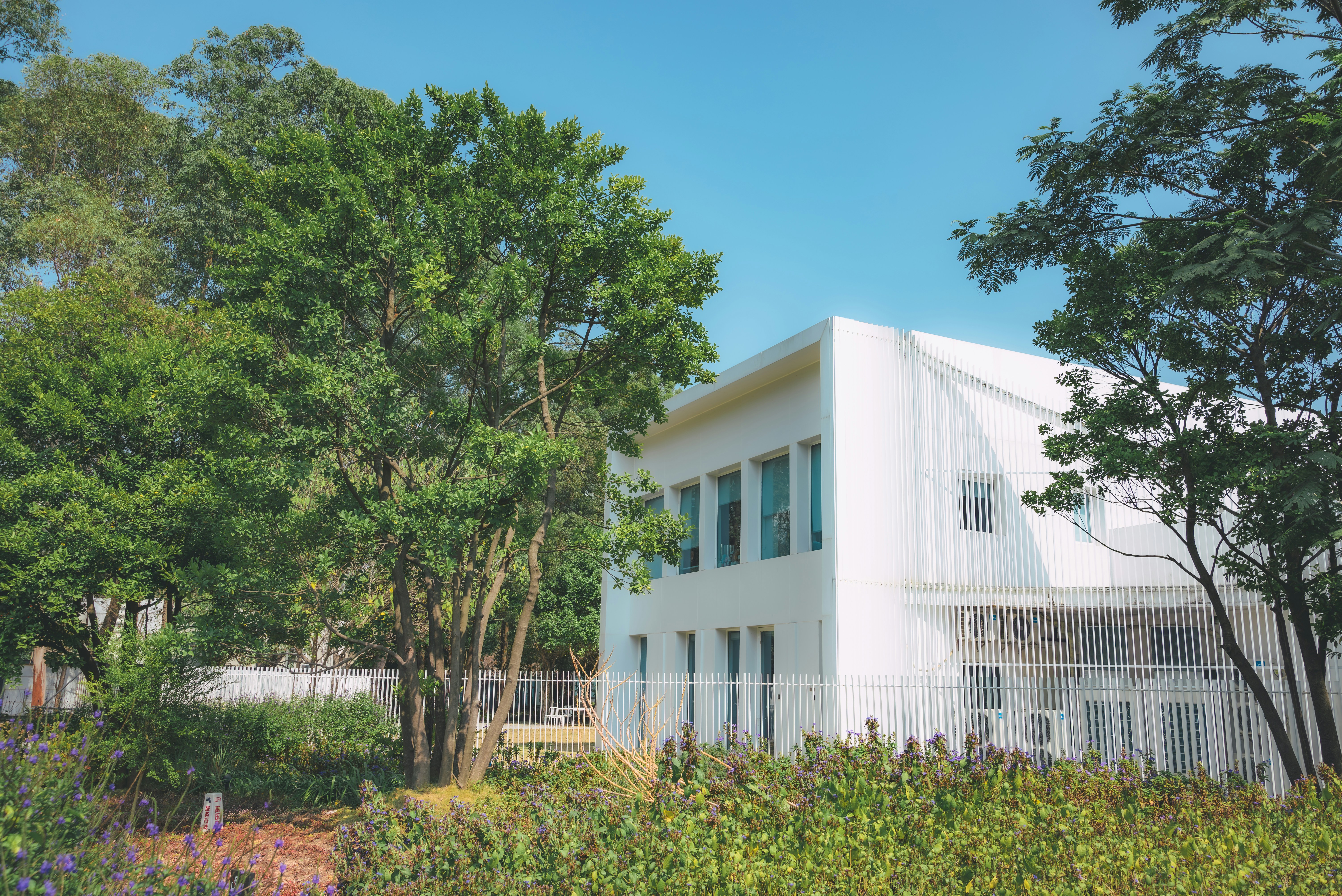 Photo by wangbinghua