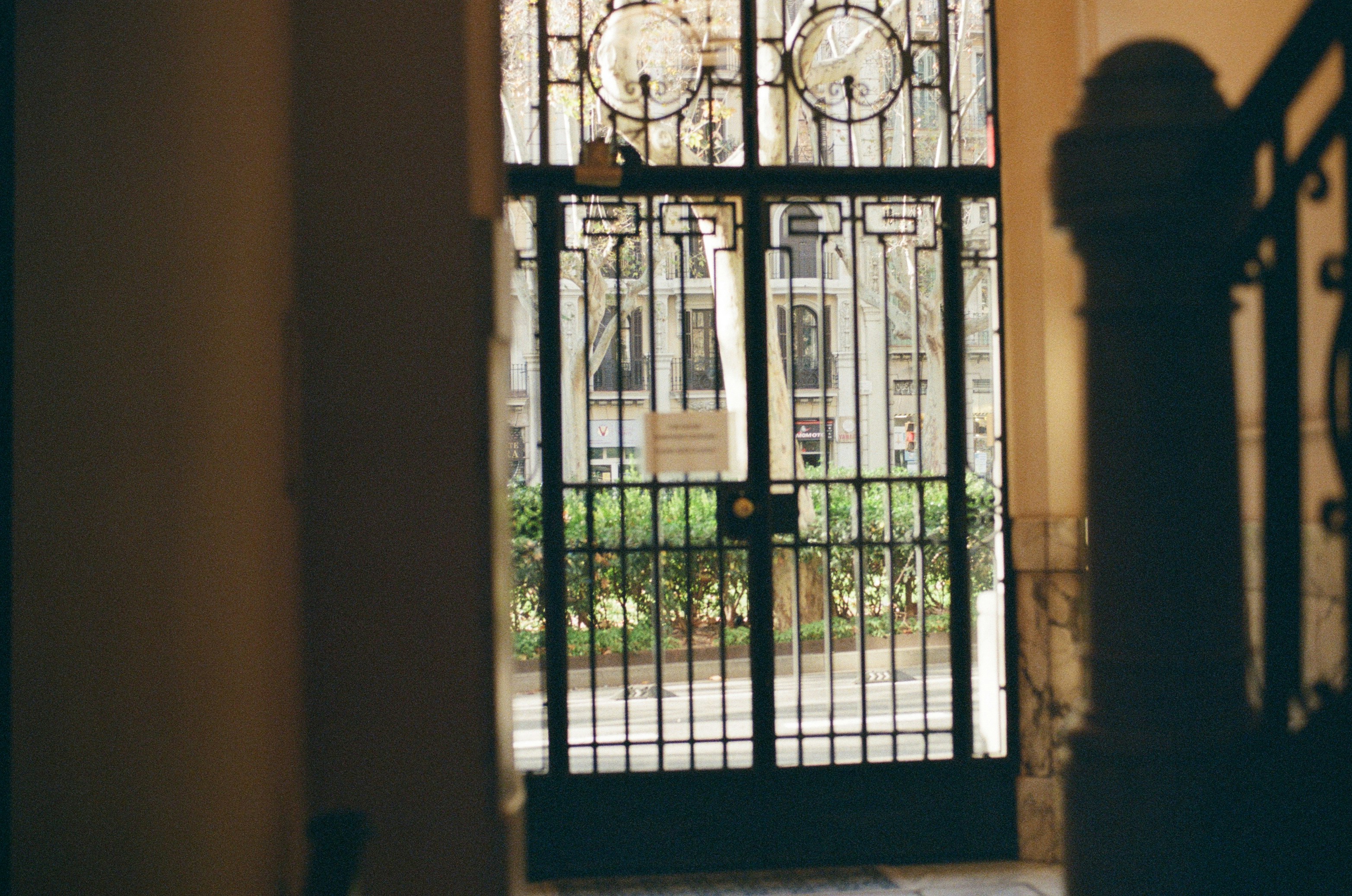 Photo by littlecarnaval