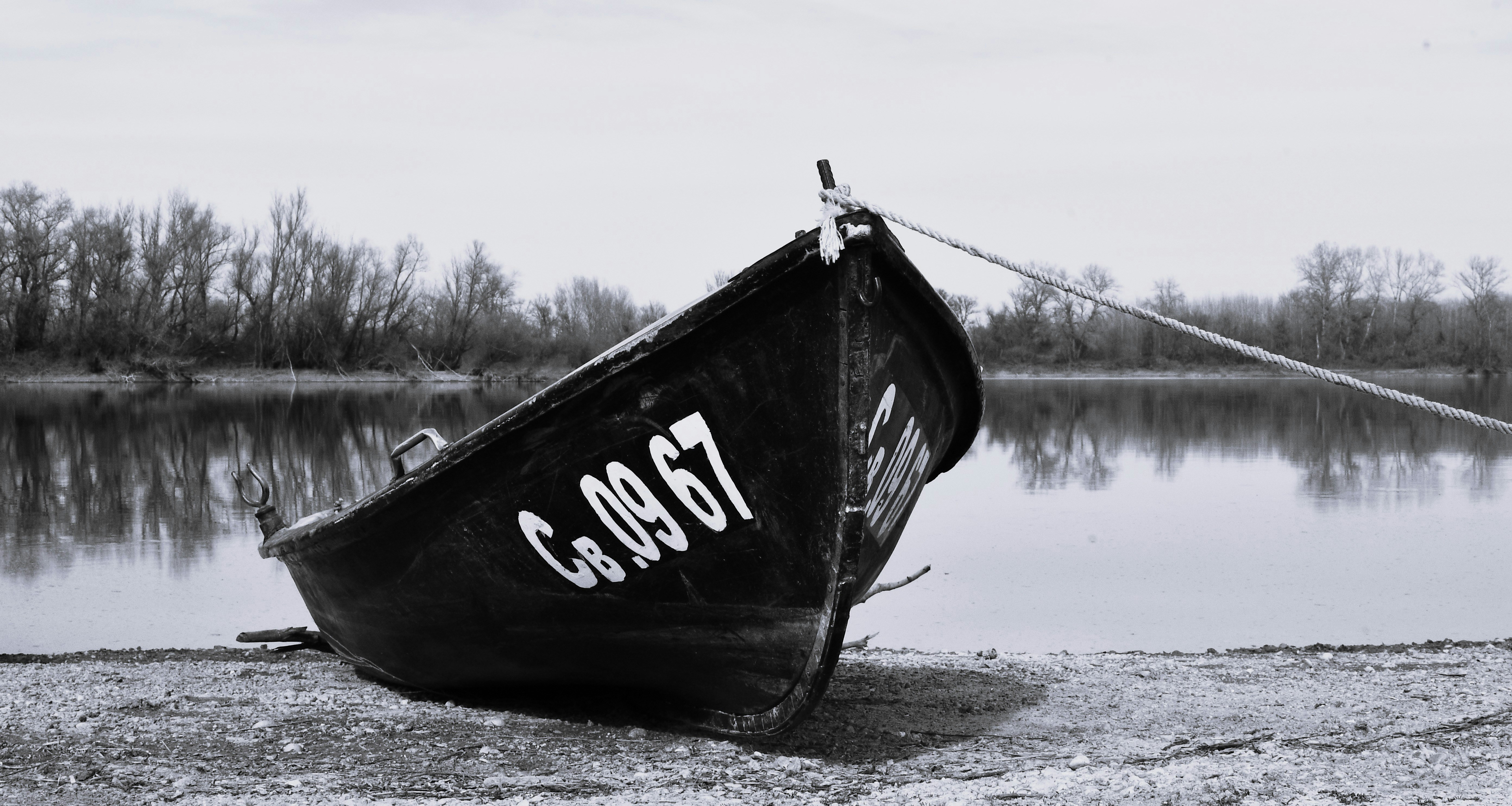 A boat is docked on a calm shore.
