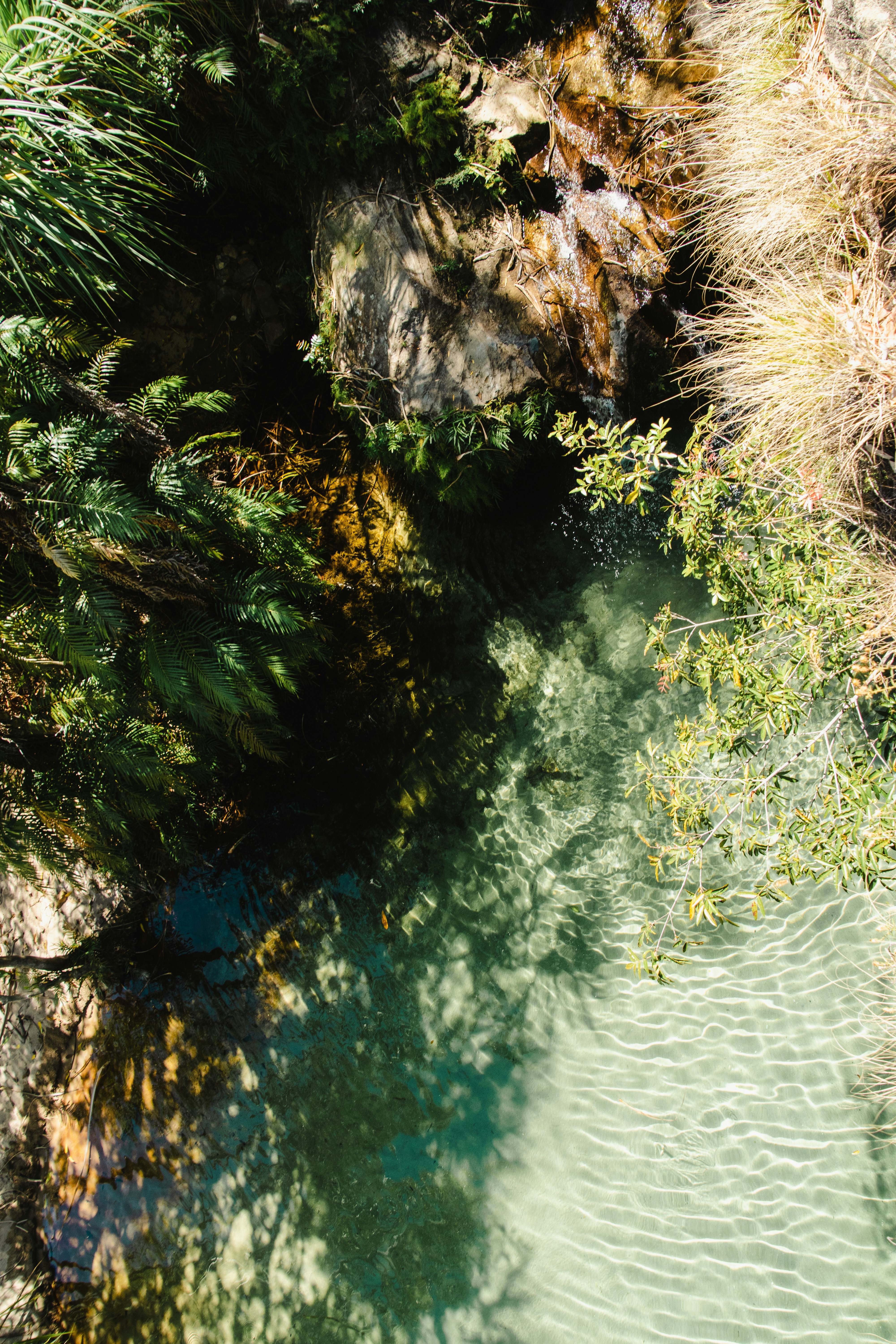 Photo by gsuarezllana