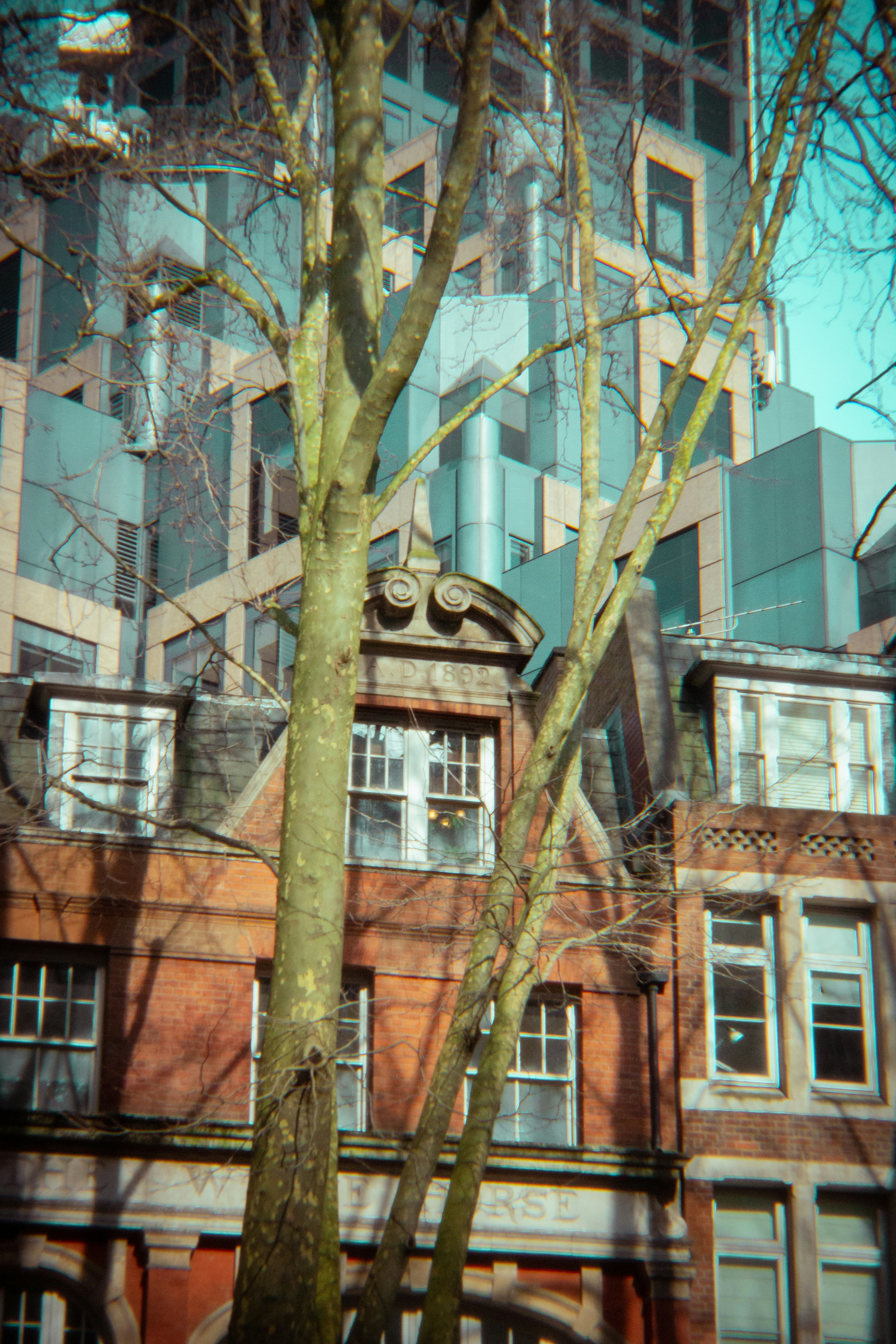 Photo by javiertenenbaum