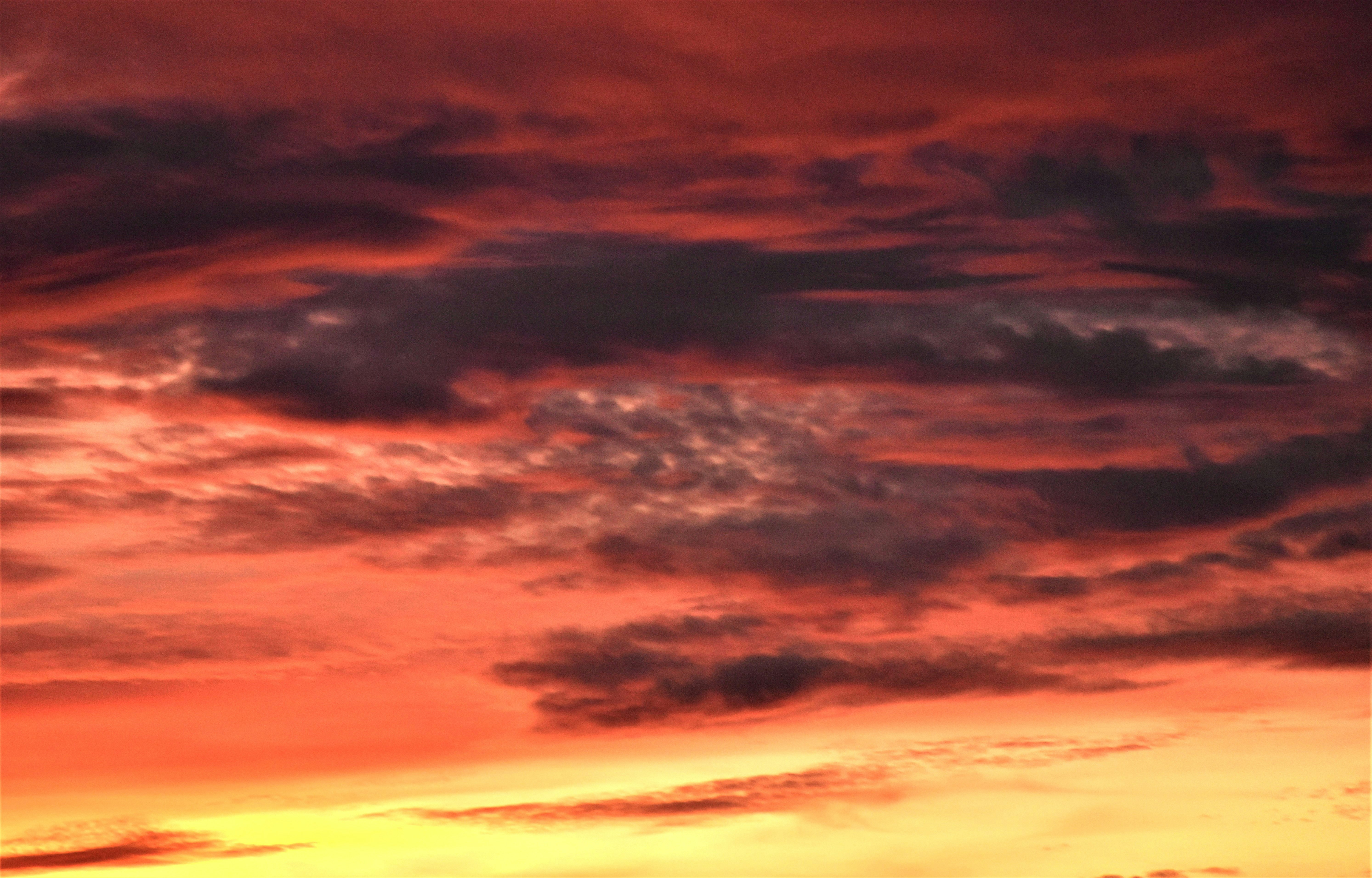 Photo by danielelarosa