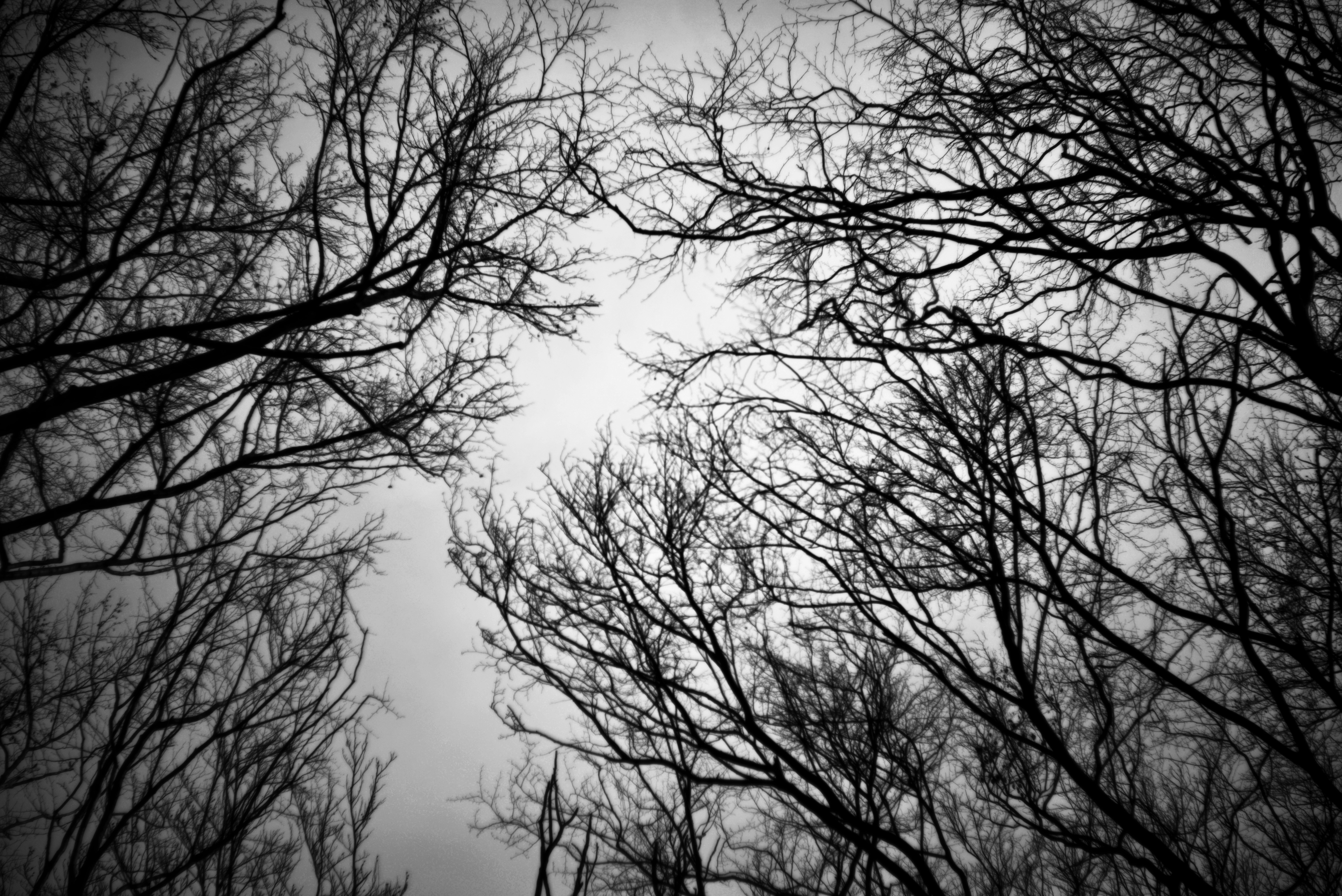 Photo by cherstve_pechivo