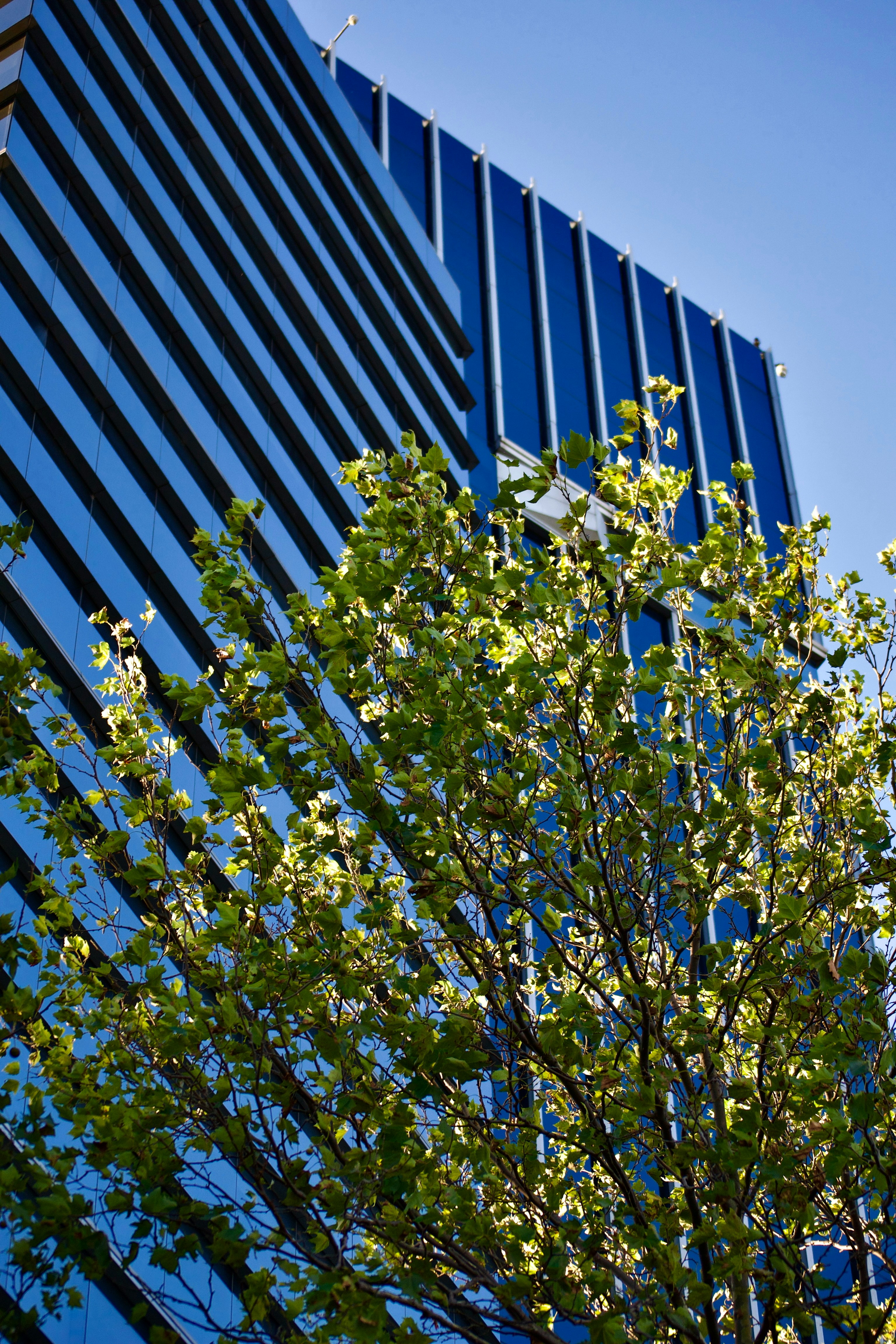 Photo by _agustinamadeo