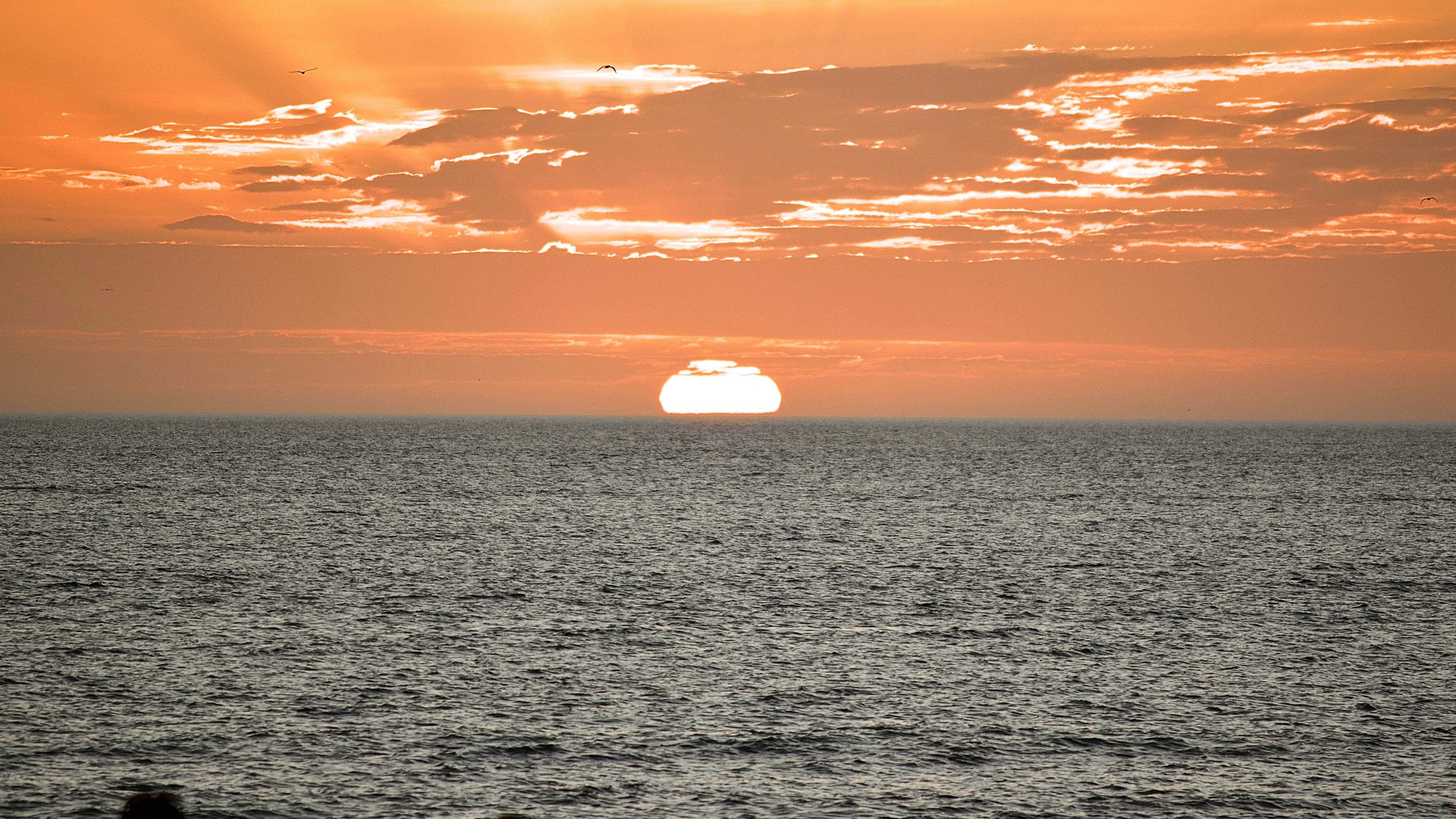 Photo by _agustinamadeo