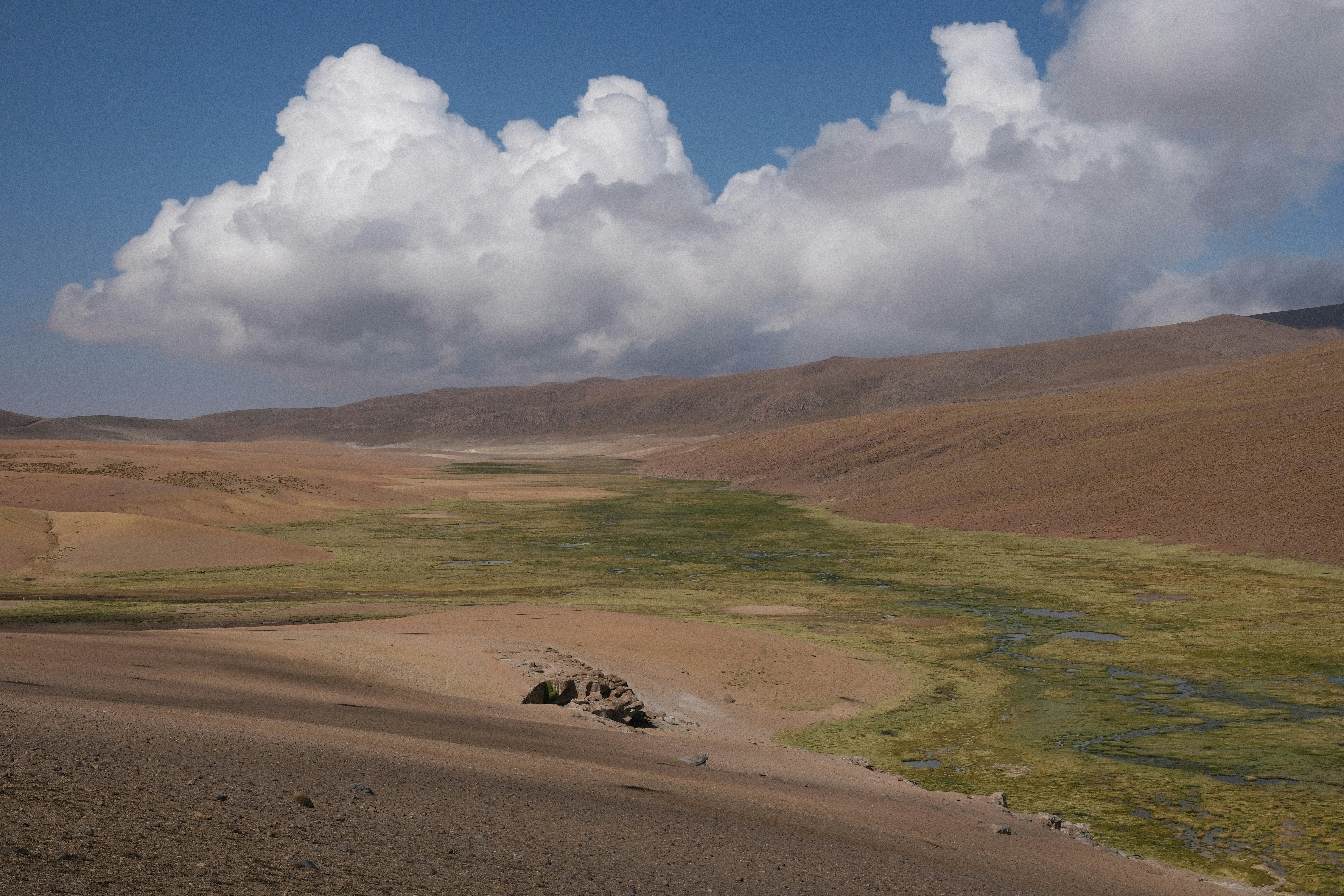 Photo by diegosmarines