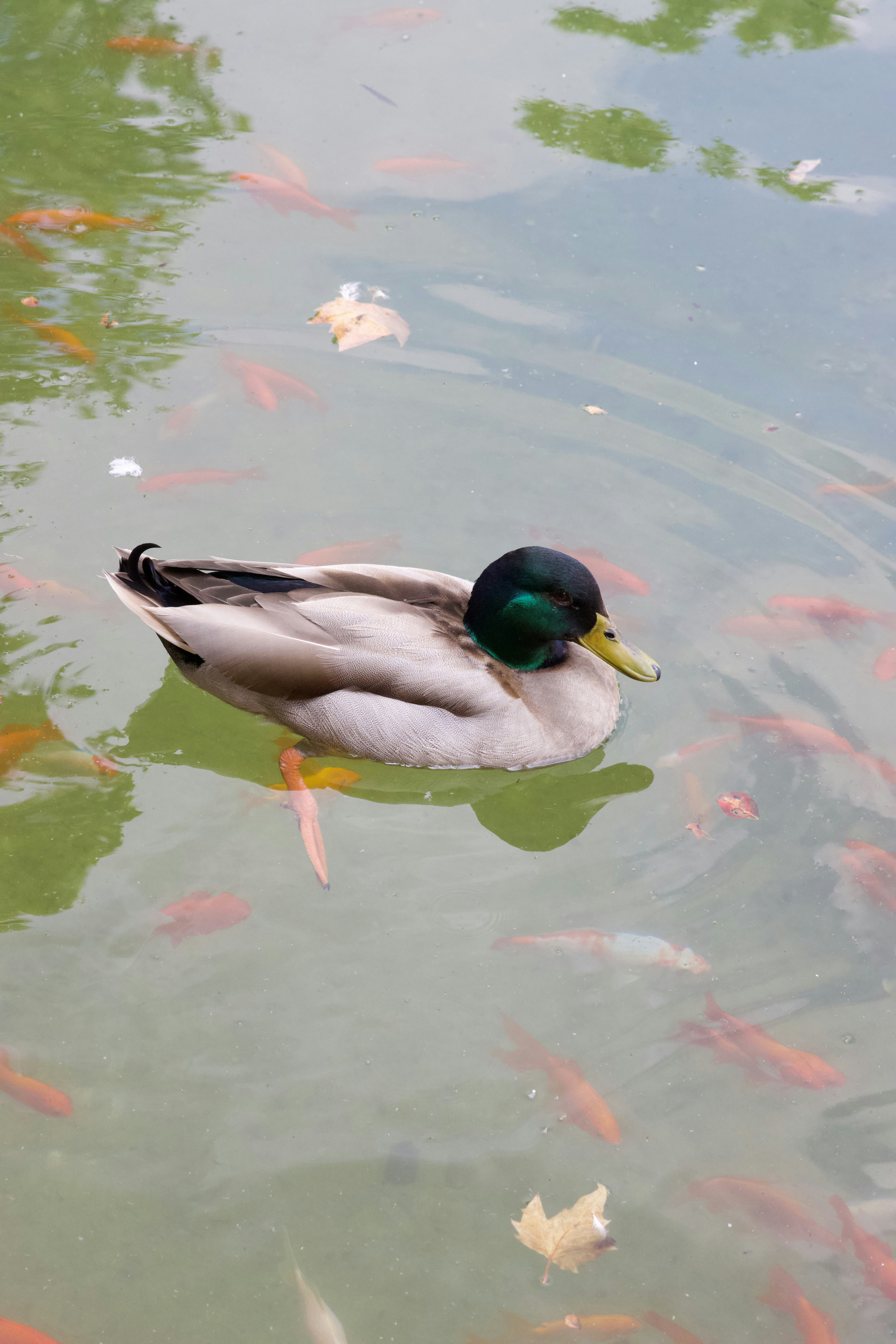 Photo by tugceertas