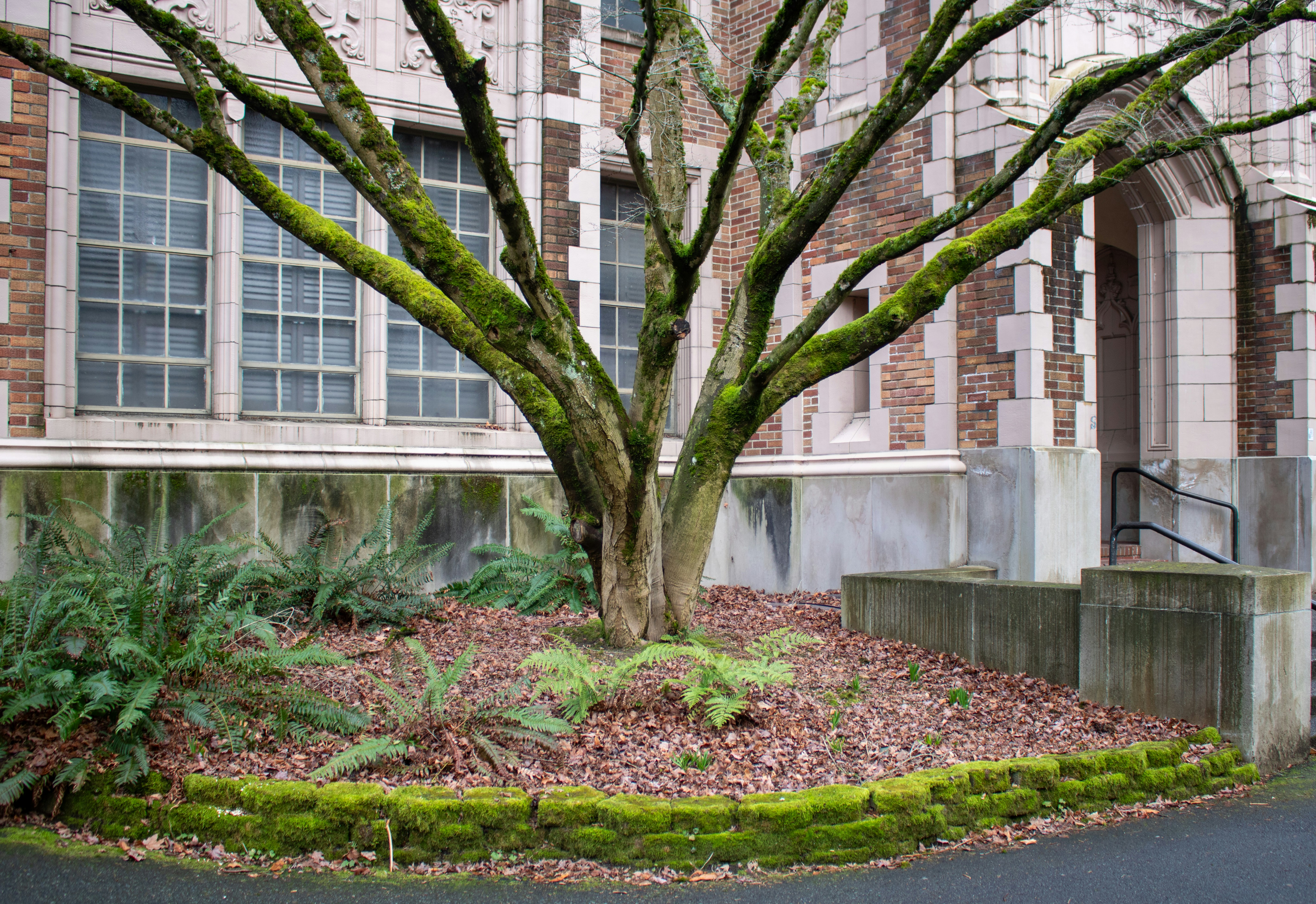 Photo by zoshuacolah