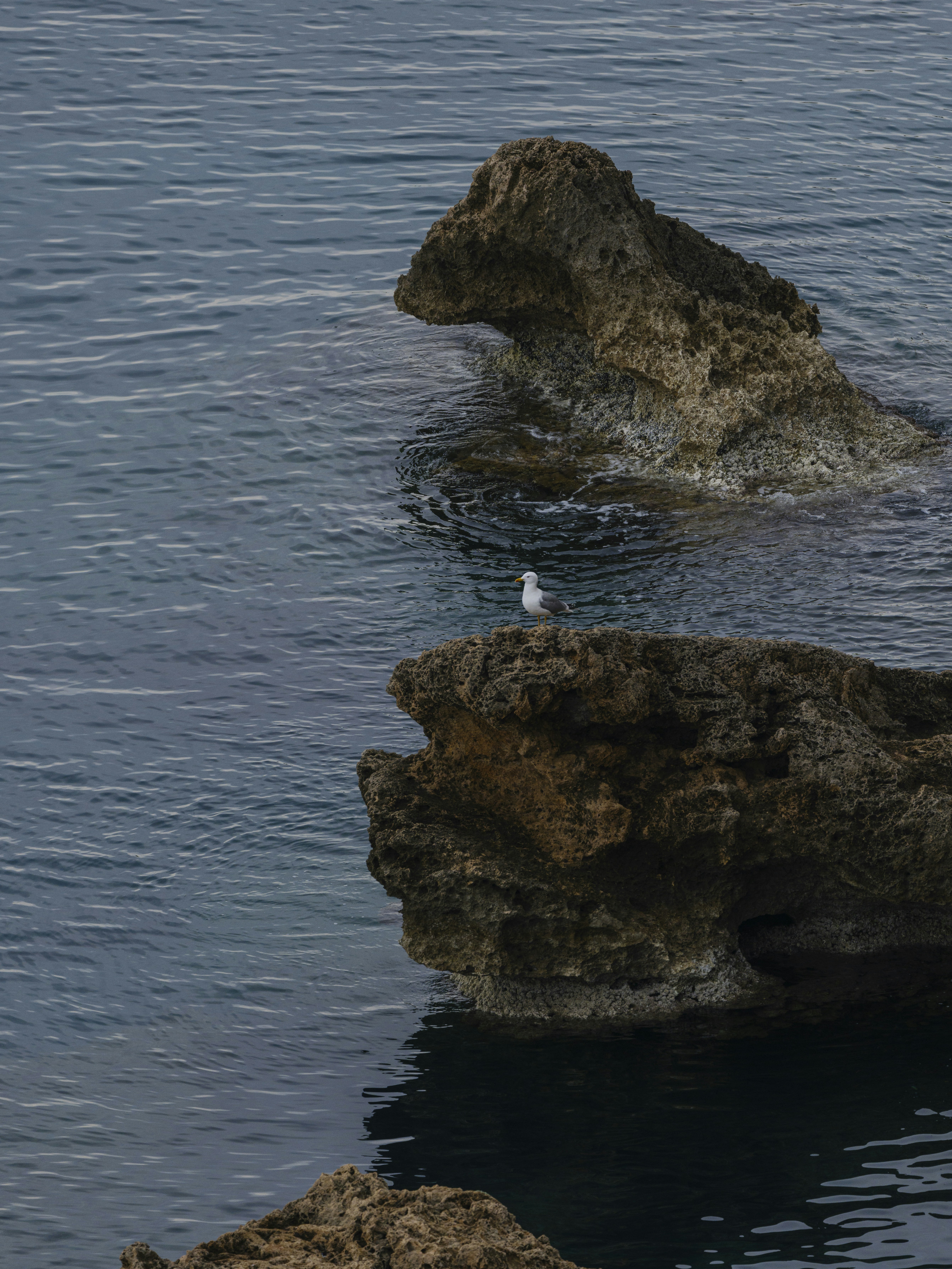 Photo by enginakyurt