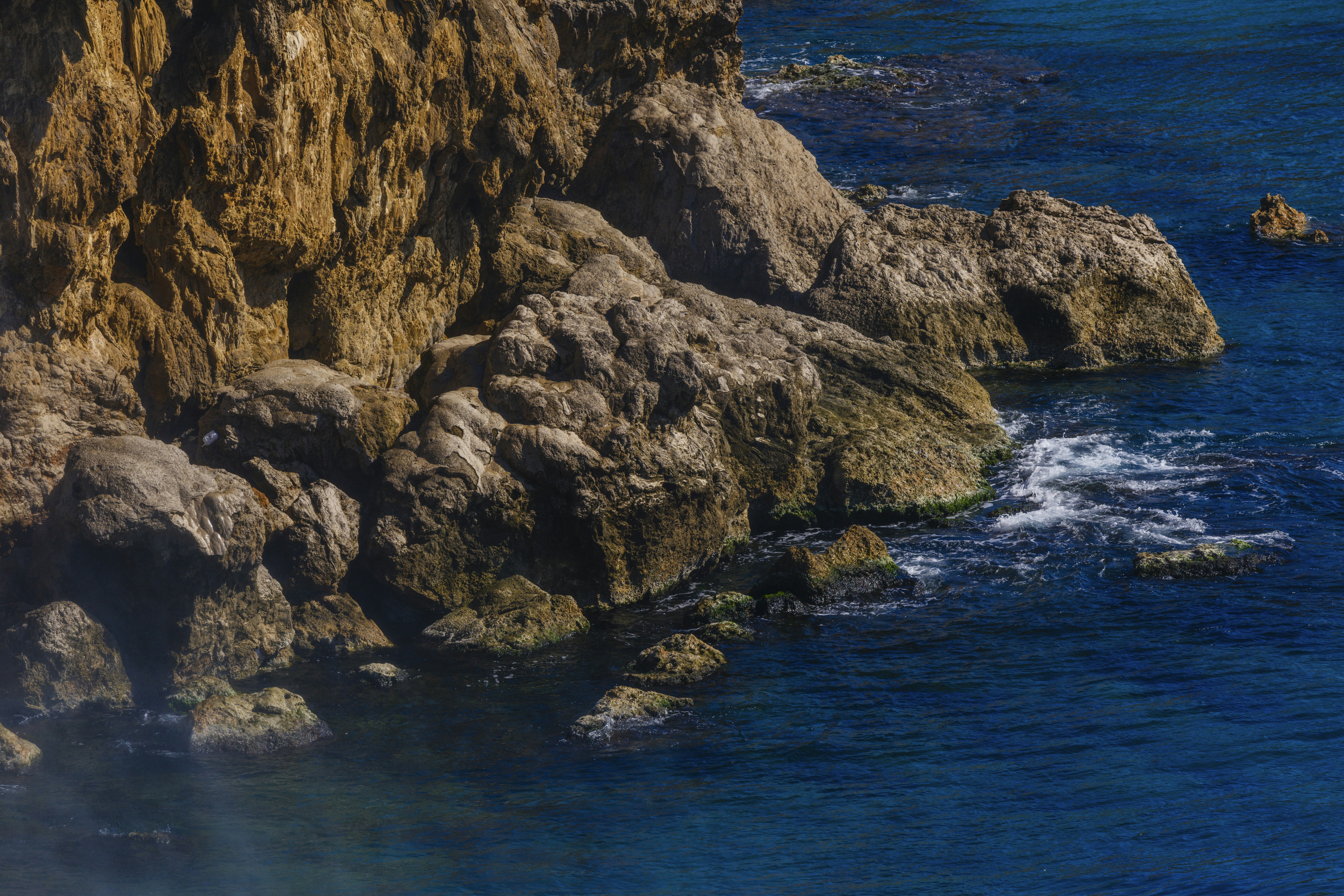 Photo by enginakyurt