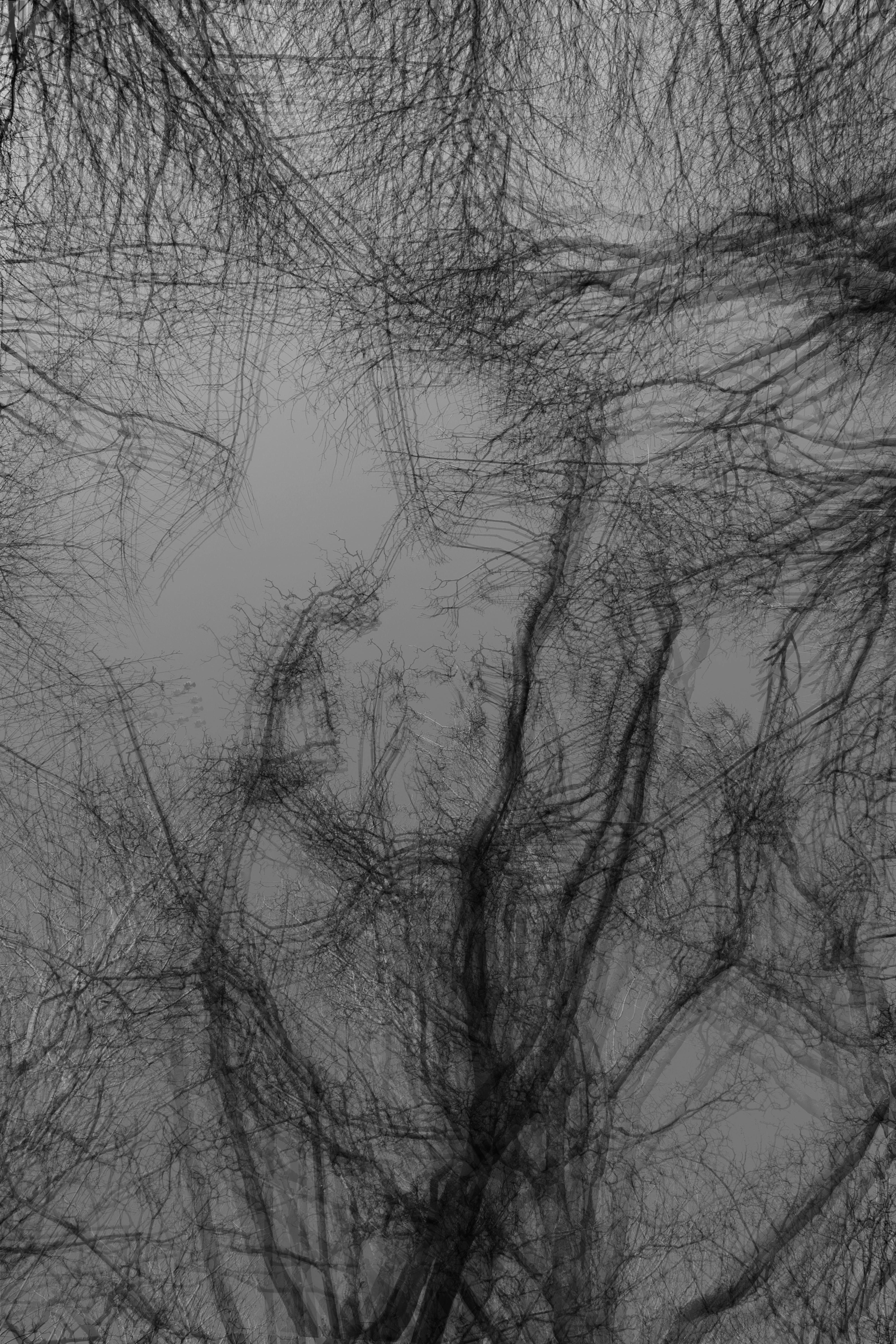 Photo by lazy_vision