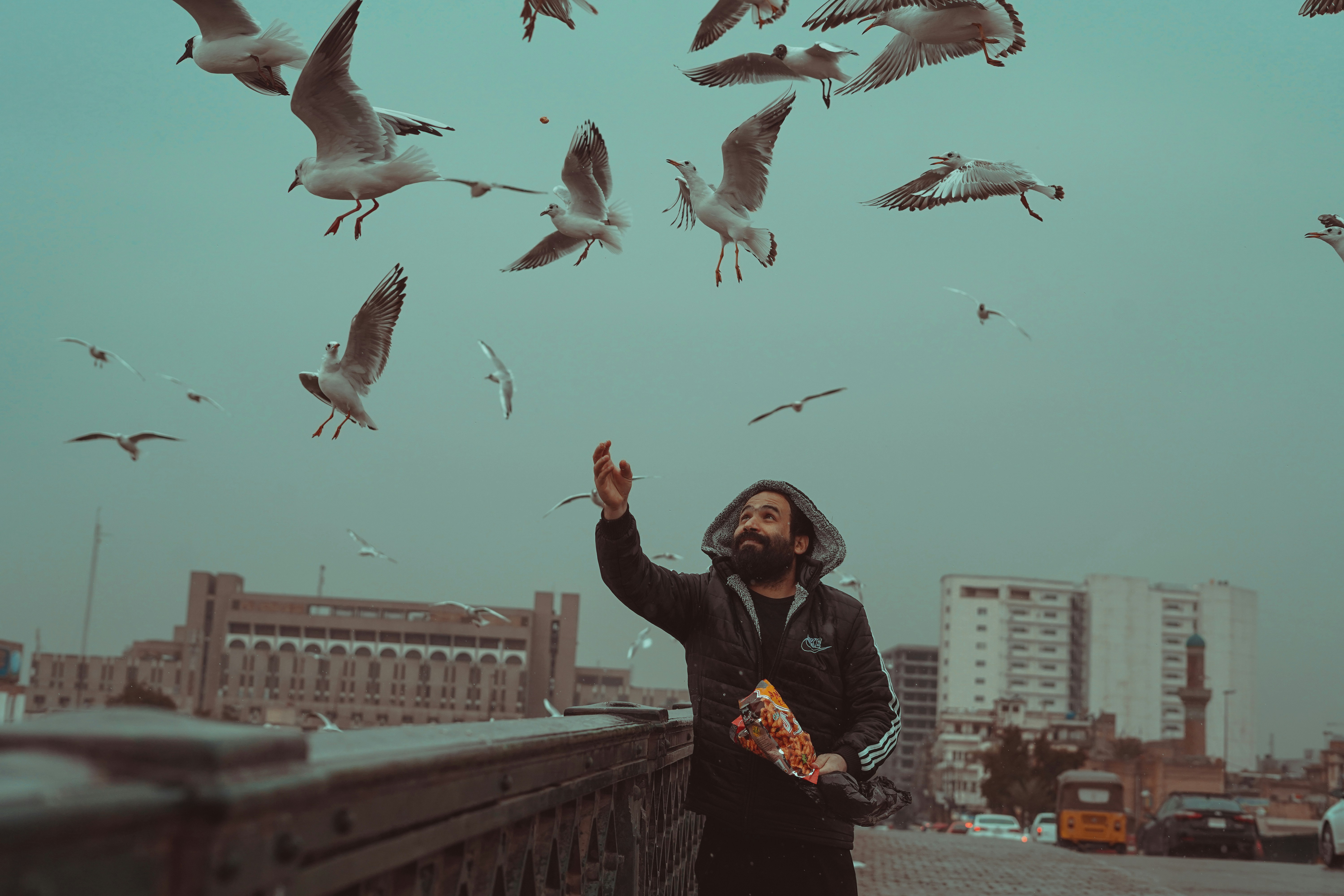 Man feeds seagulls on a bridge.