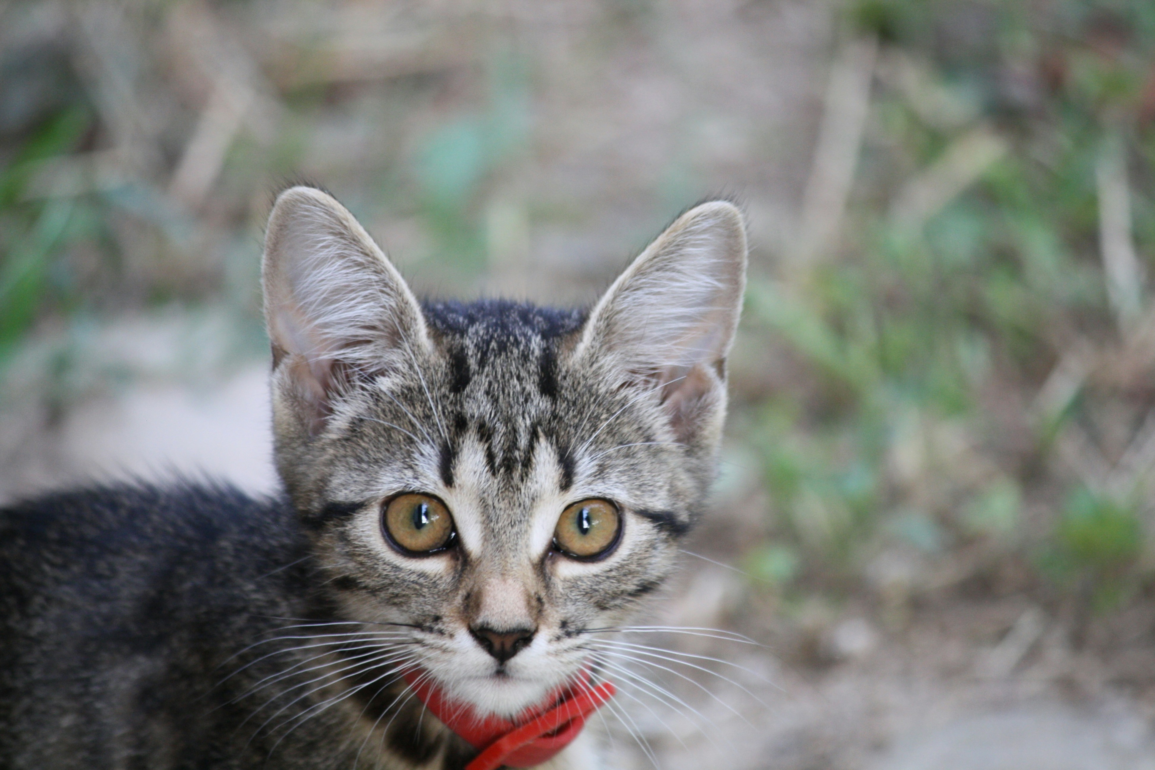 Photo by fotografialuivlad