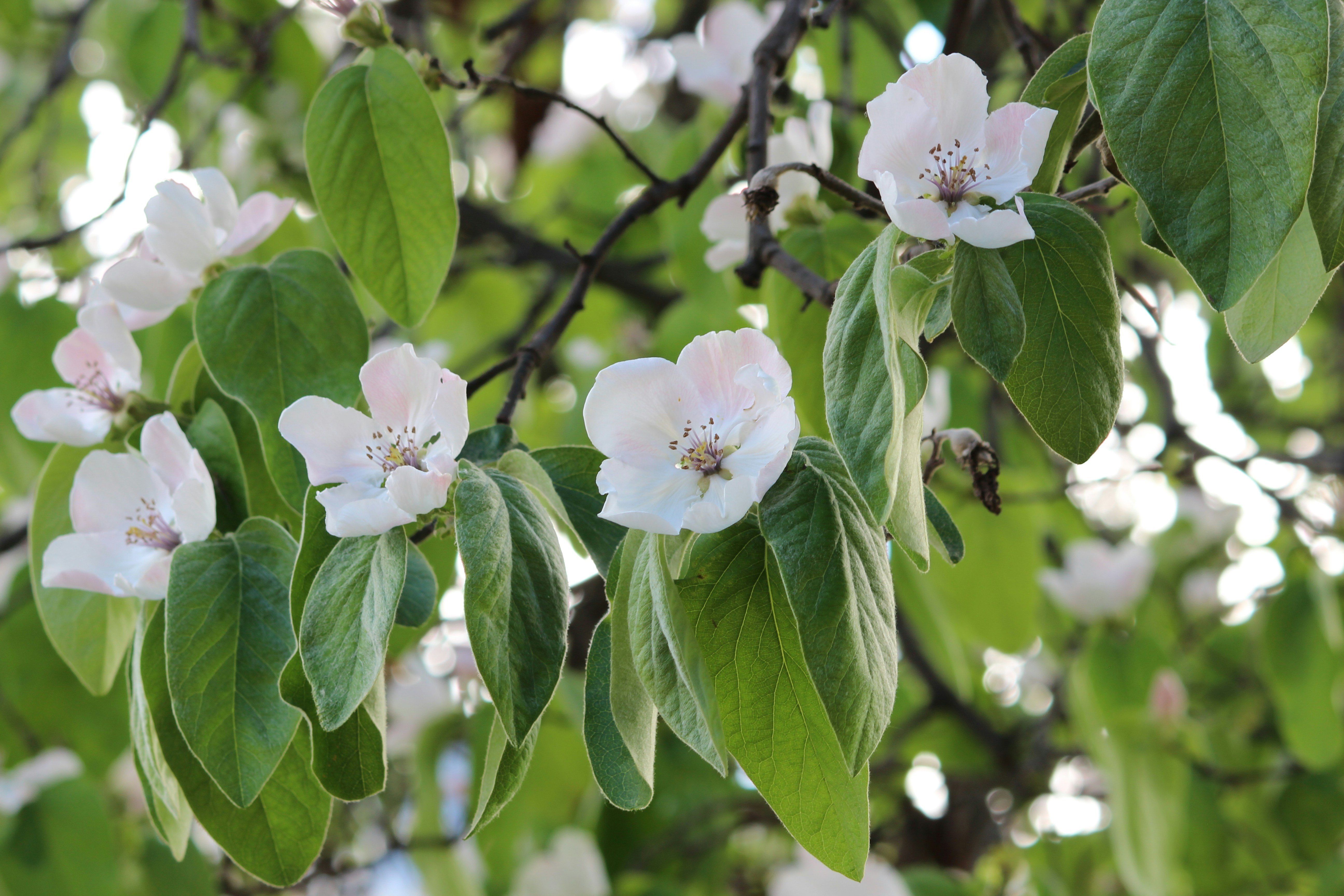 Photo by fotografialuivlad