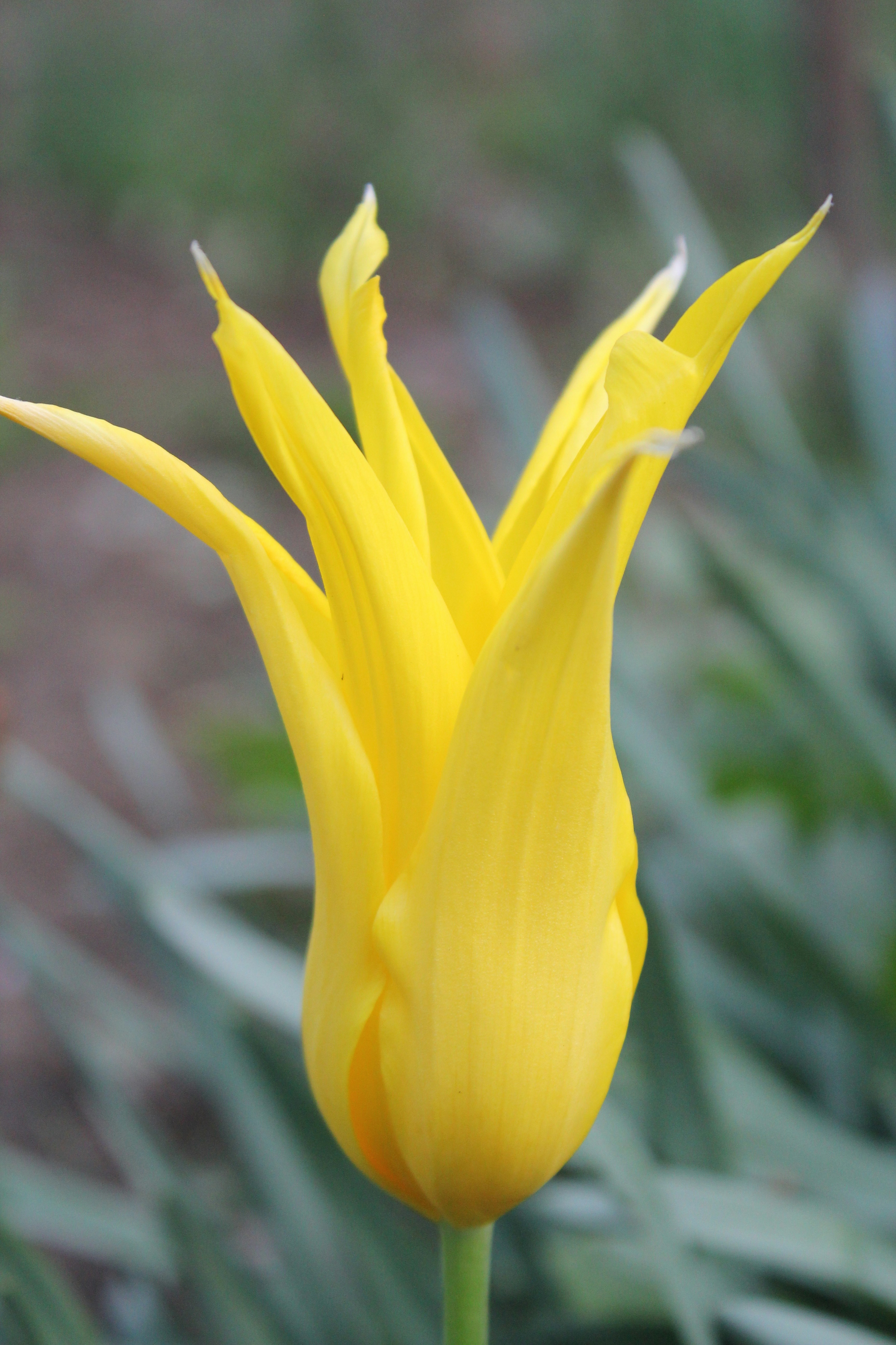 Photo by fotografialuivlad