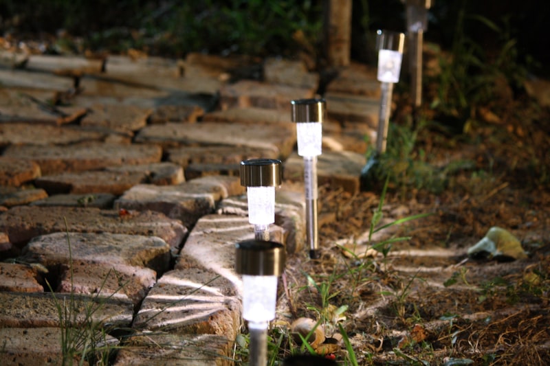 Garden pathway lit by solar lights at night