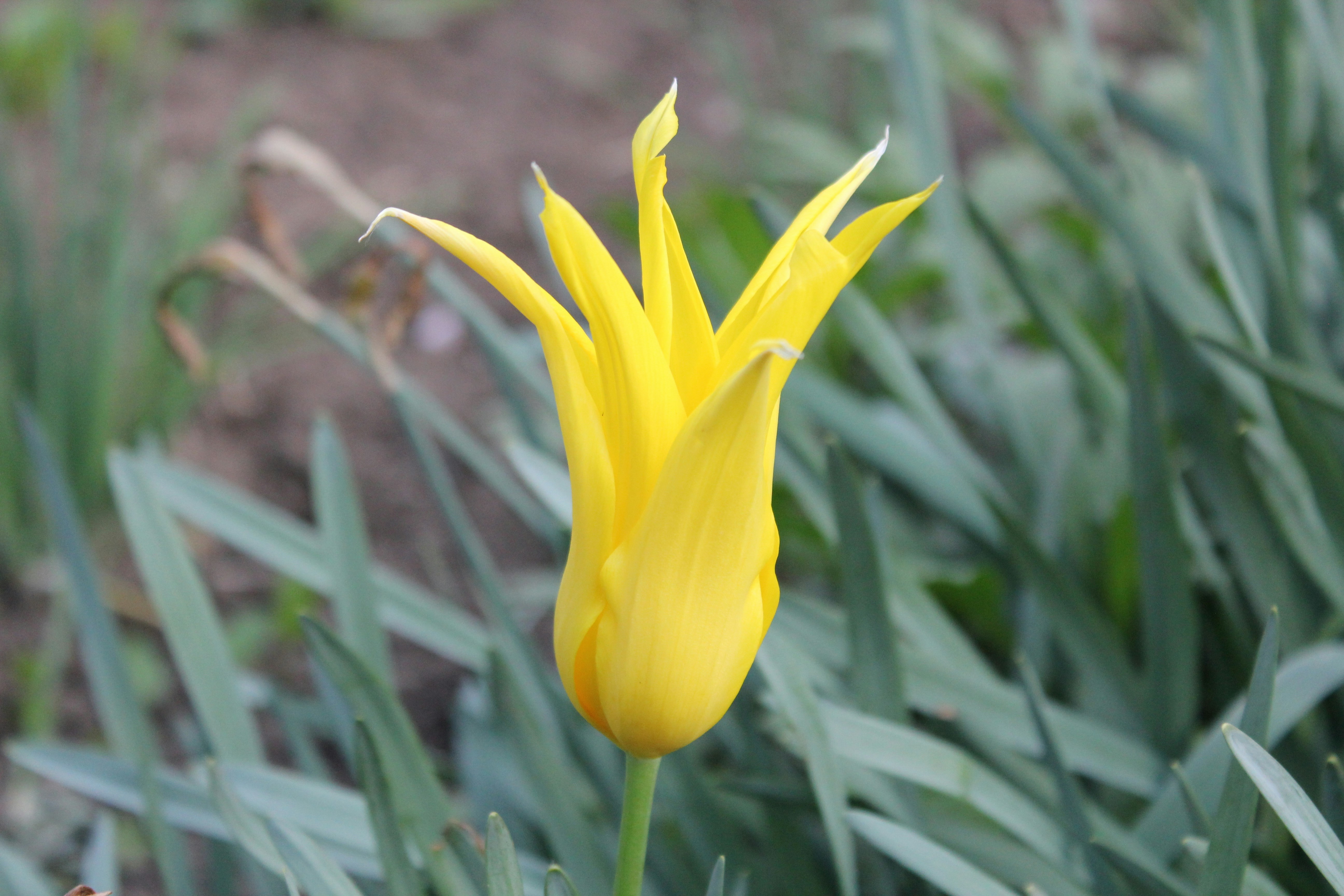 Photo by fotografialuivlad