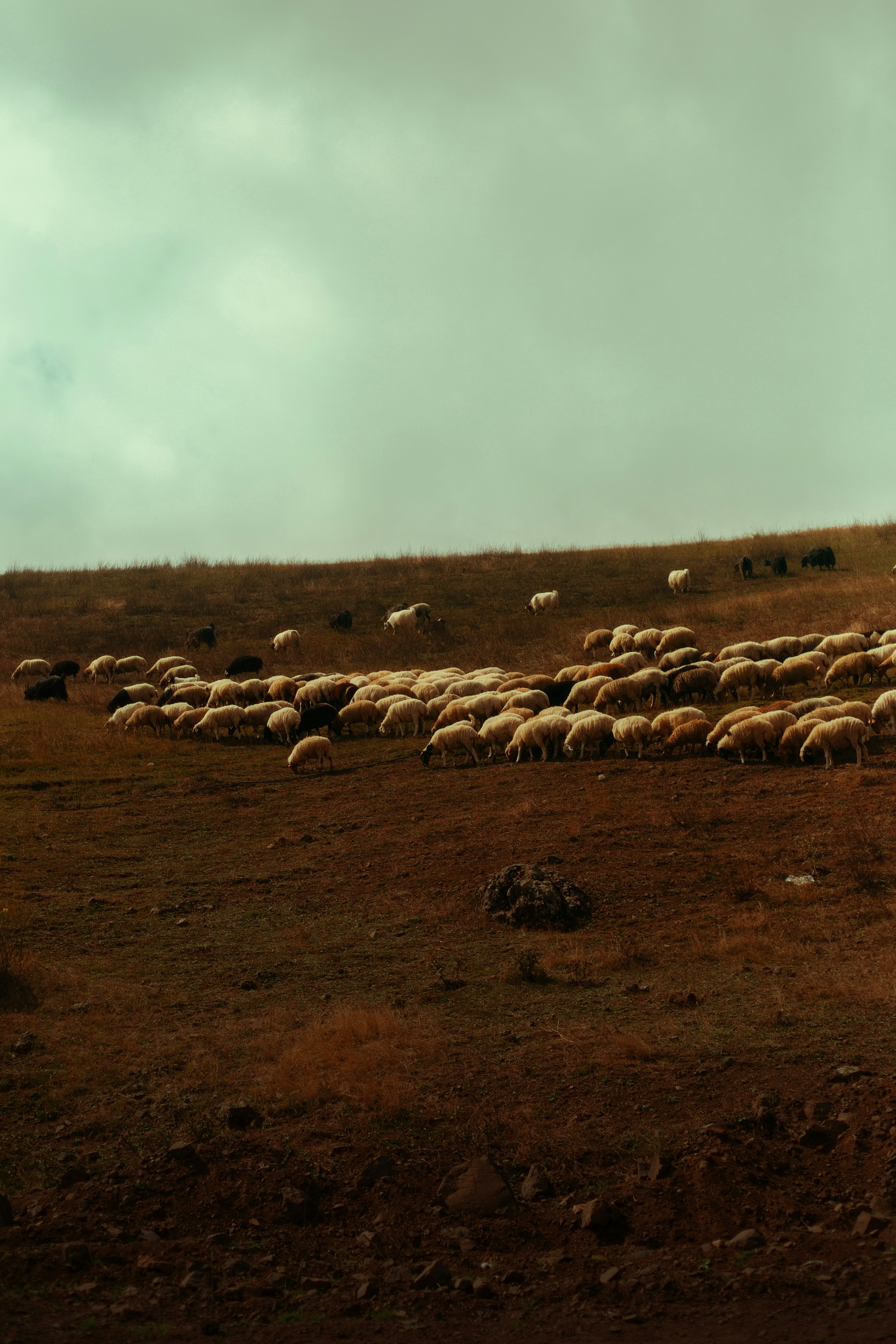 Photo by mrcharkhgard