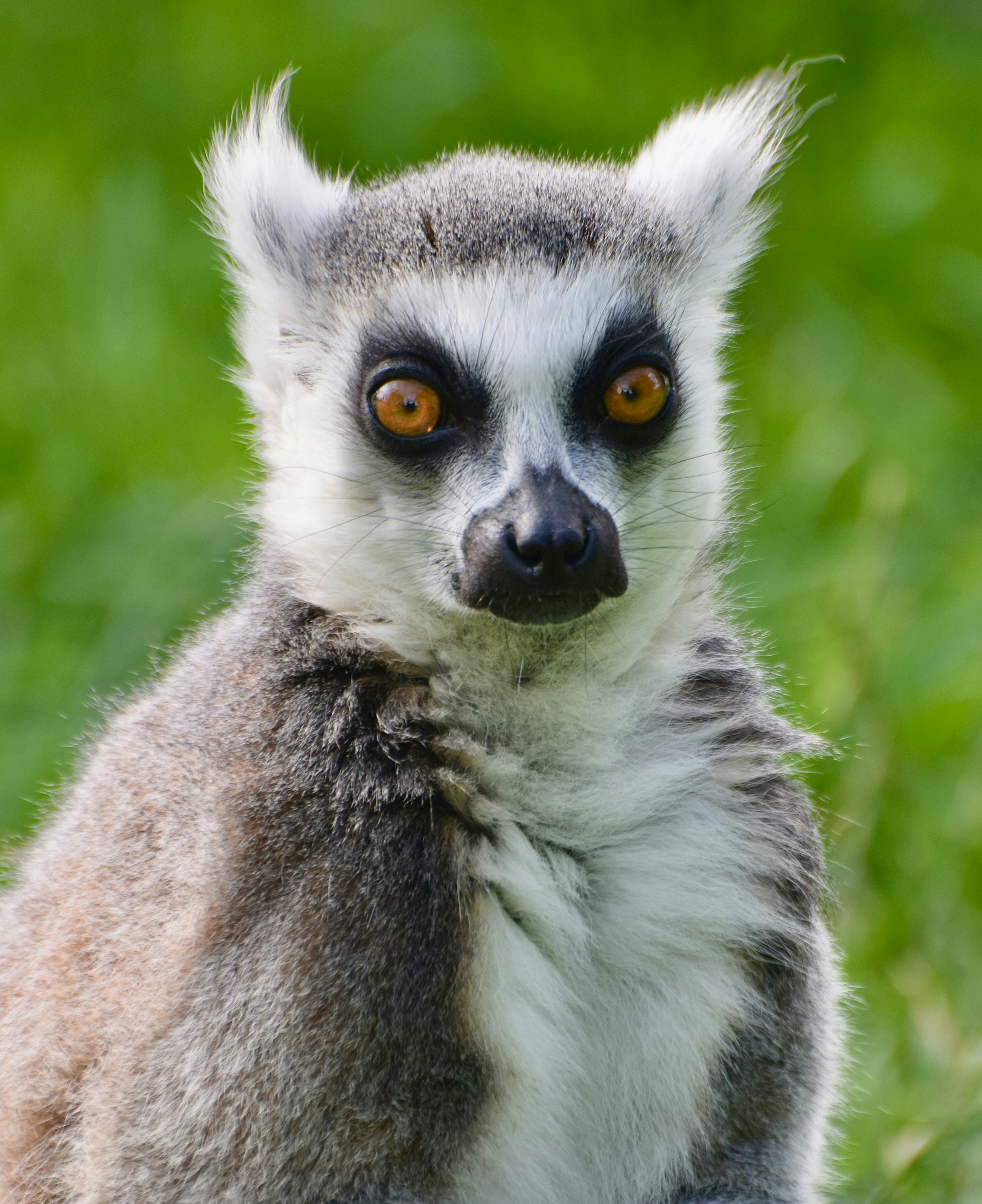 Photo by beardynature