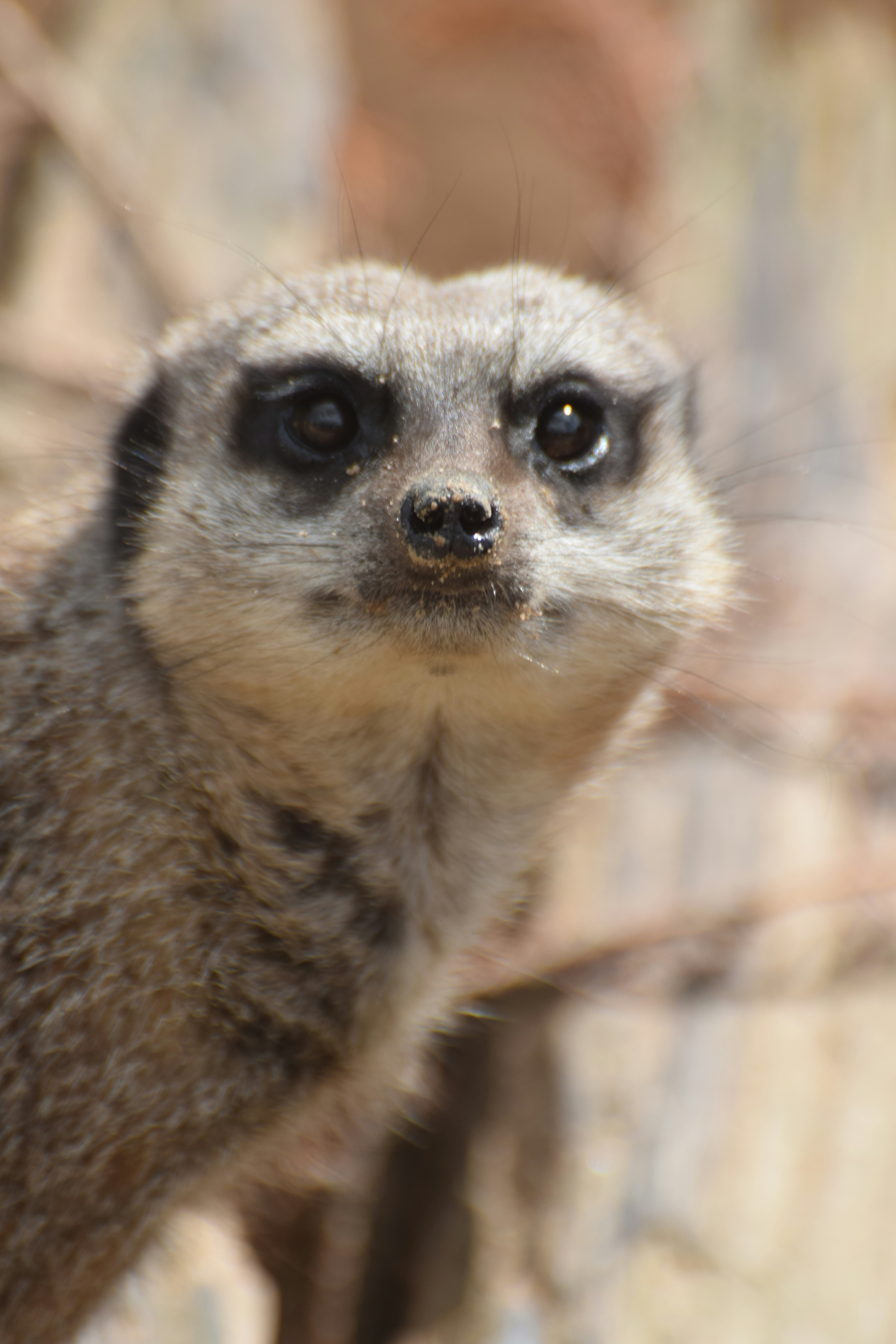 Photo by beardynature