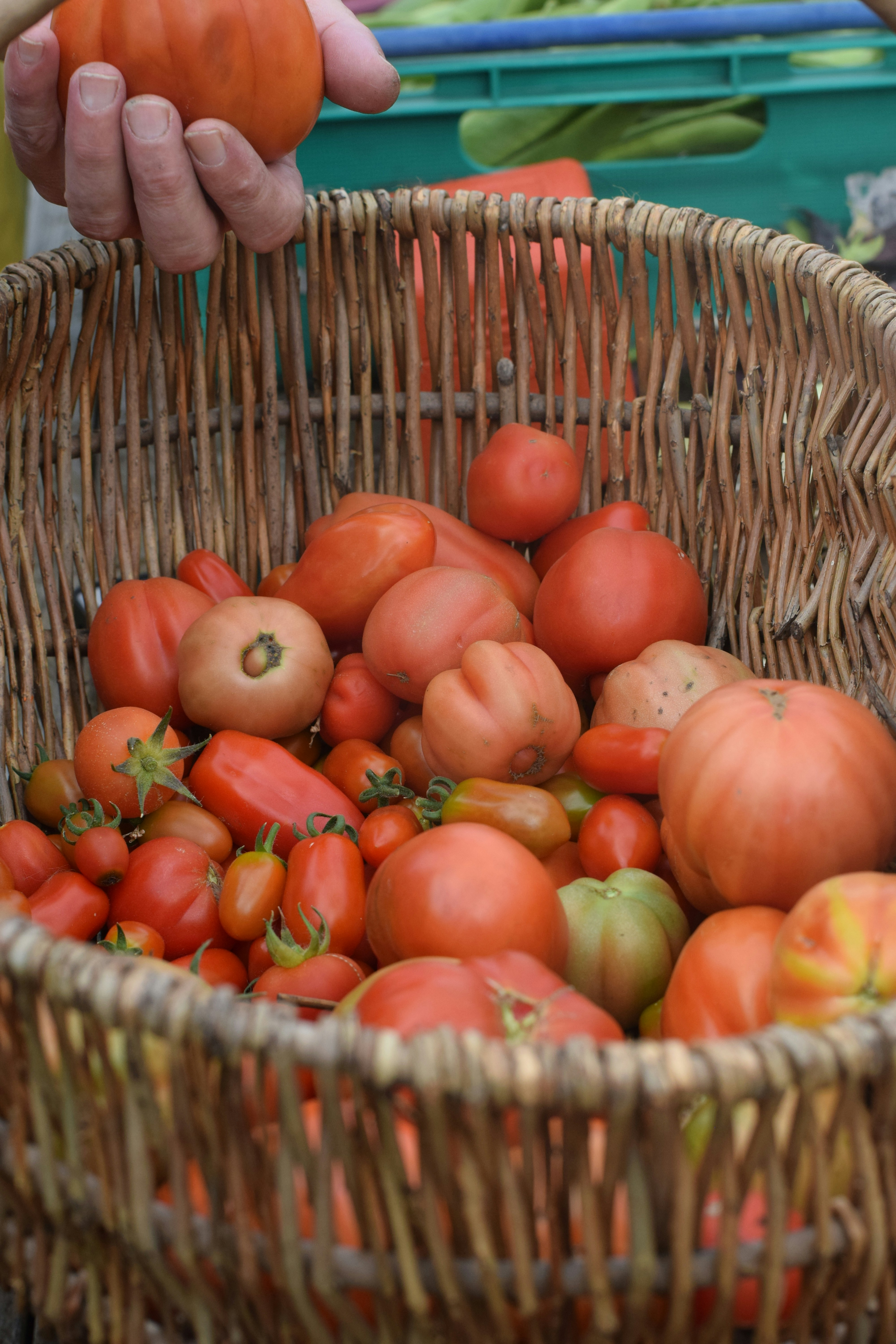 Photo by beardynature