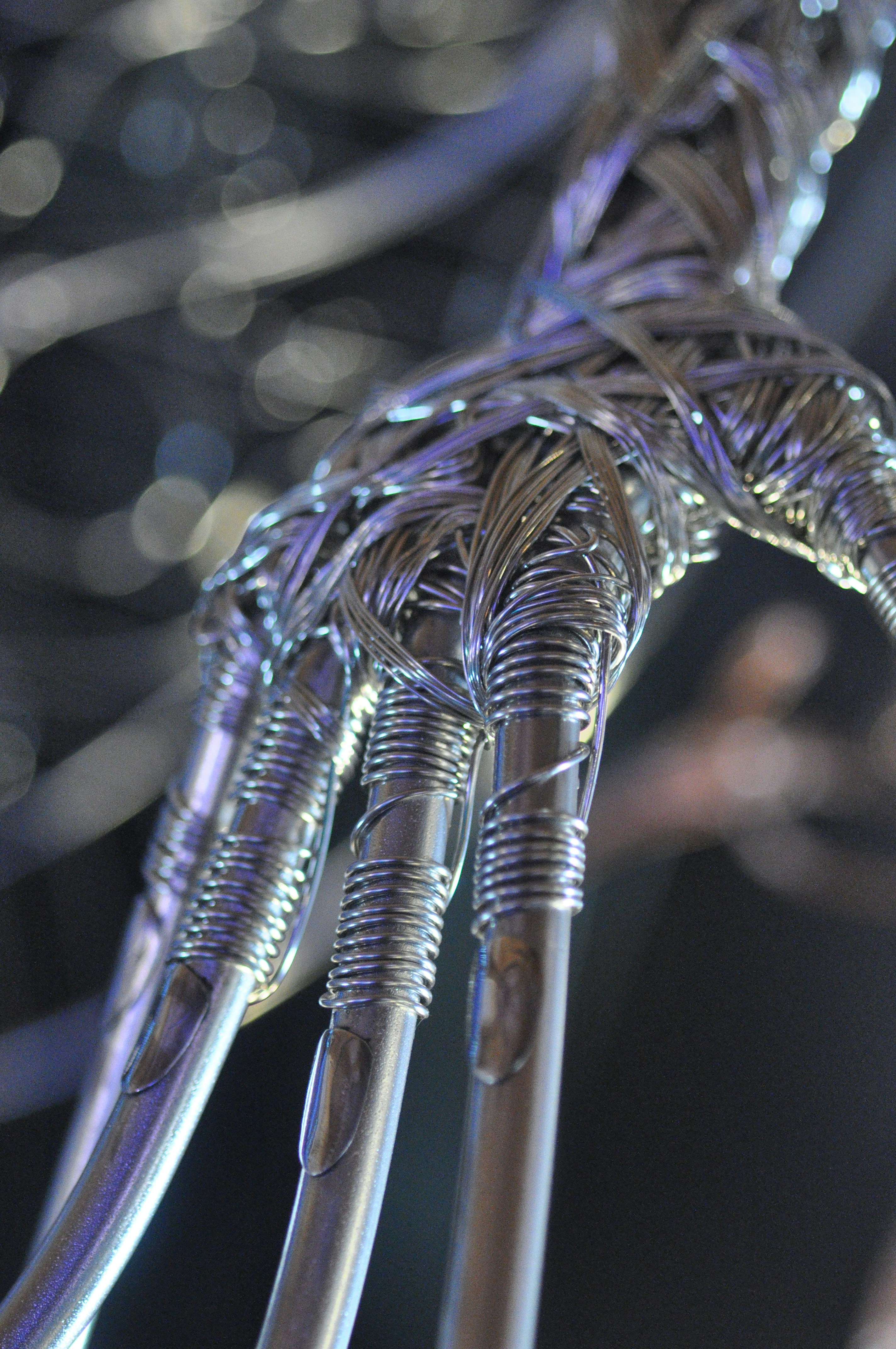 Photo by beardynature