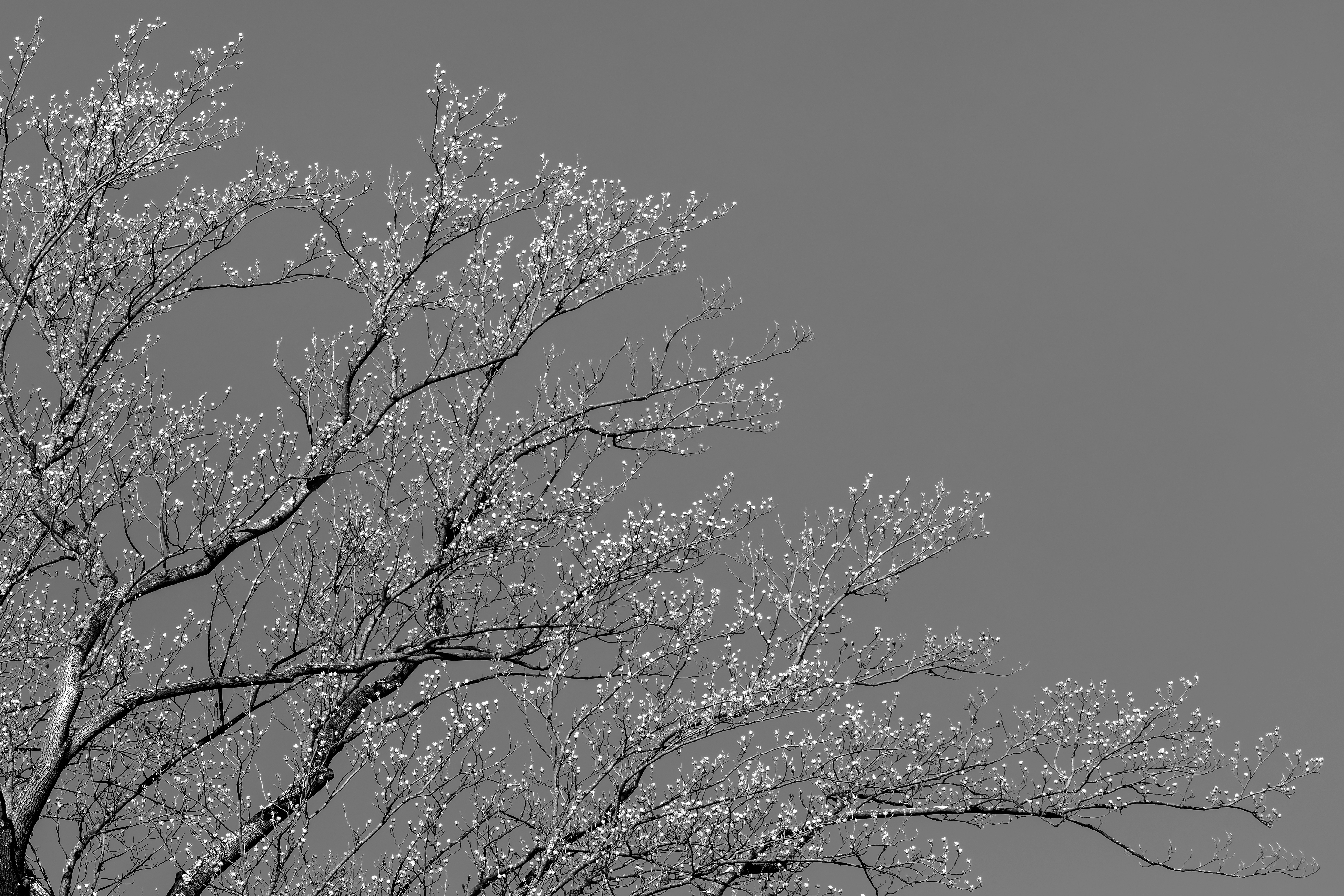 Photo by peterbbryan