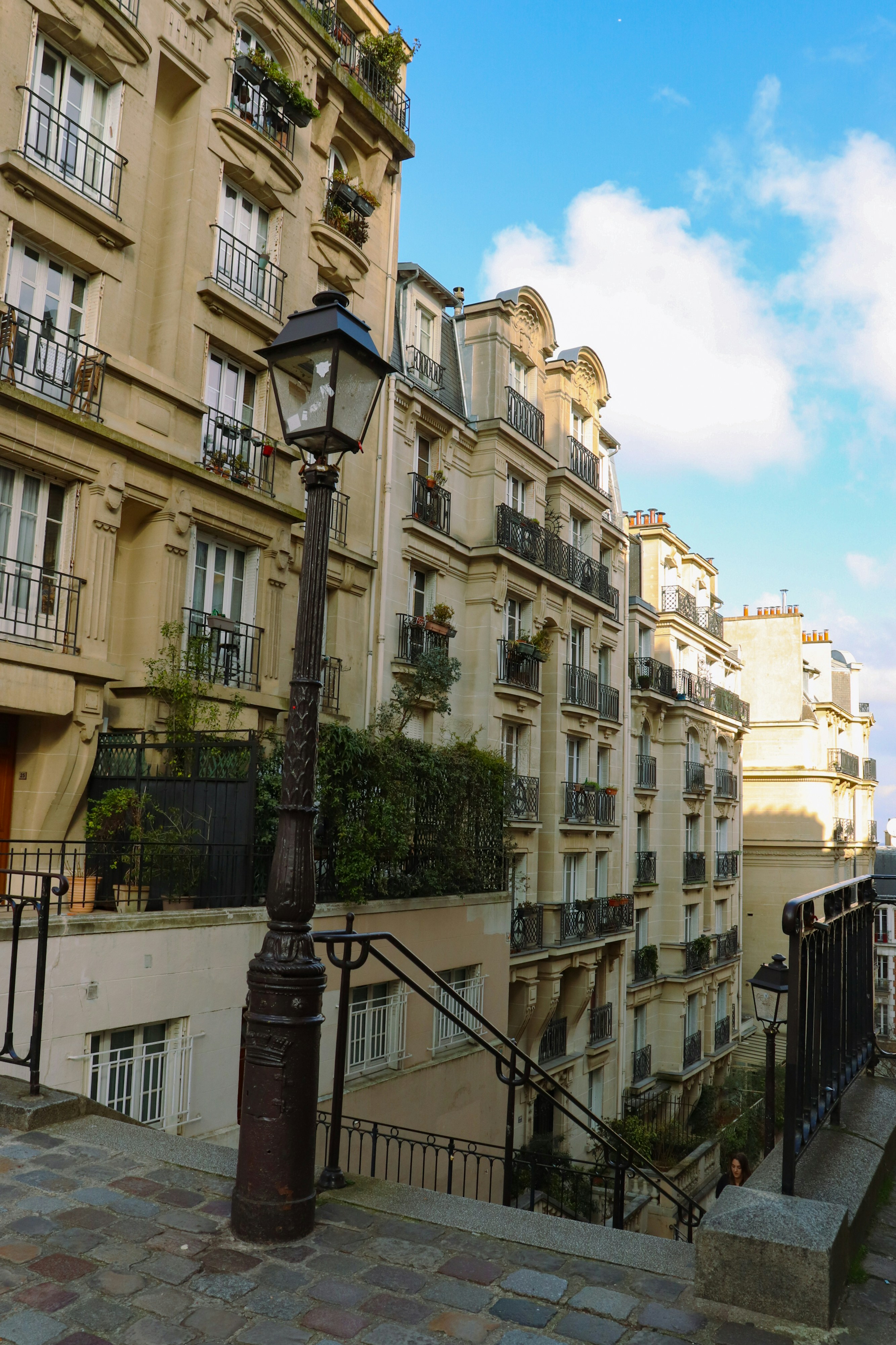 Parisian buildings line the cobblestone street.