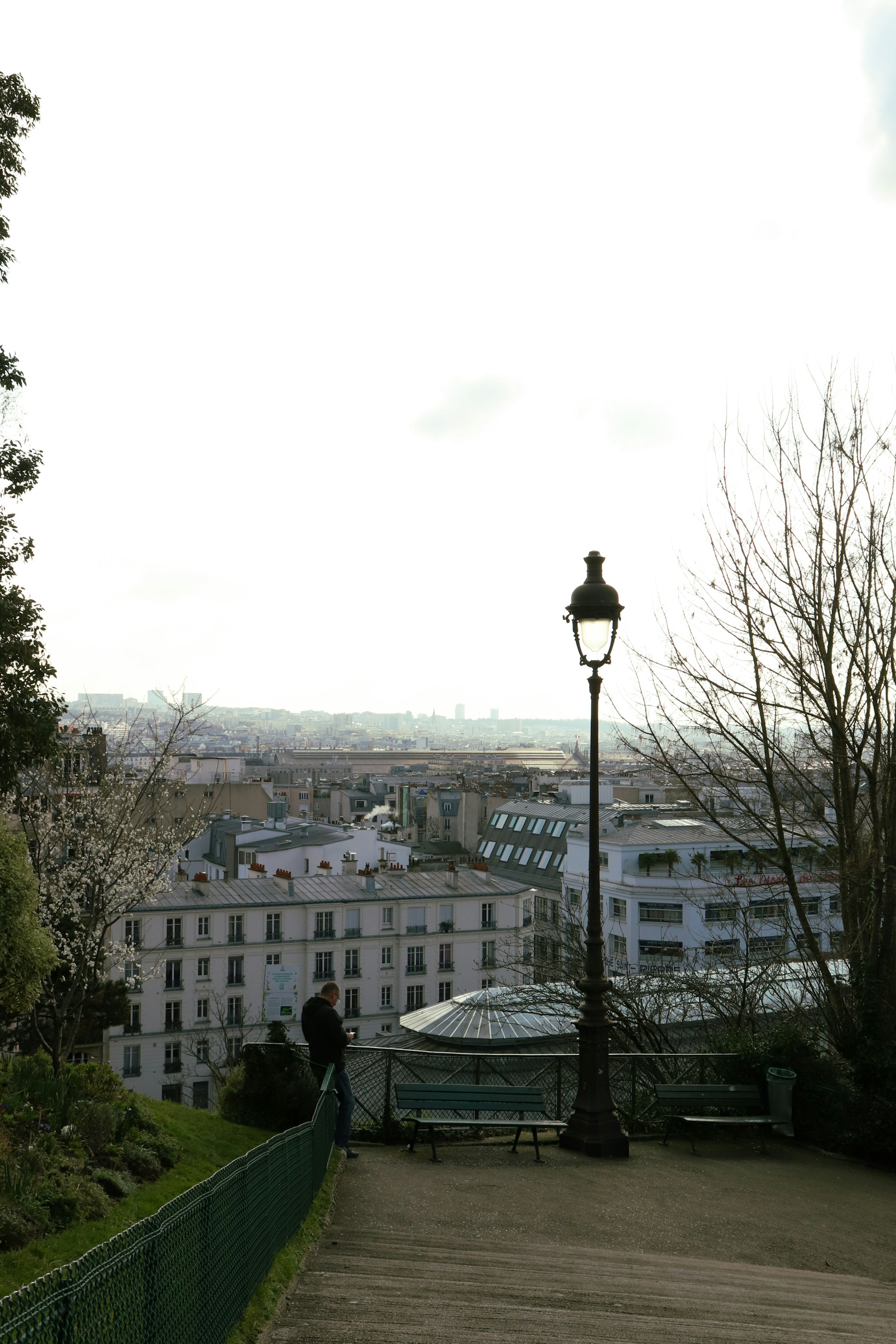A cityscape view from a hill with lamp post.