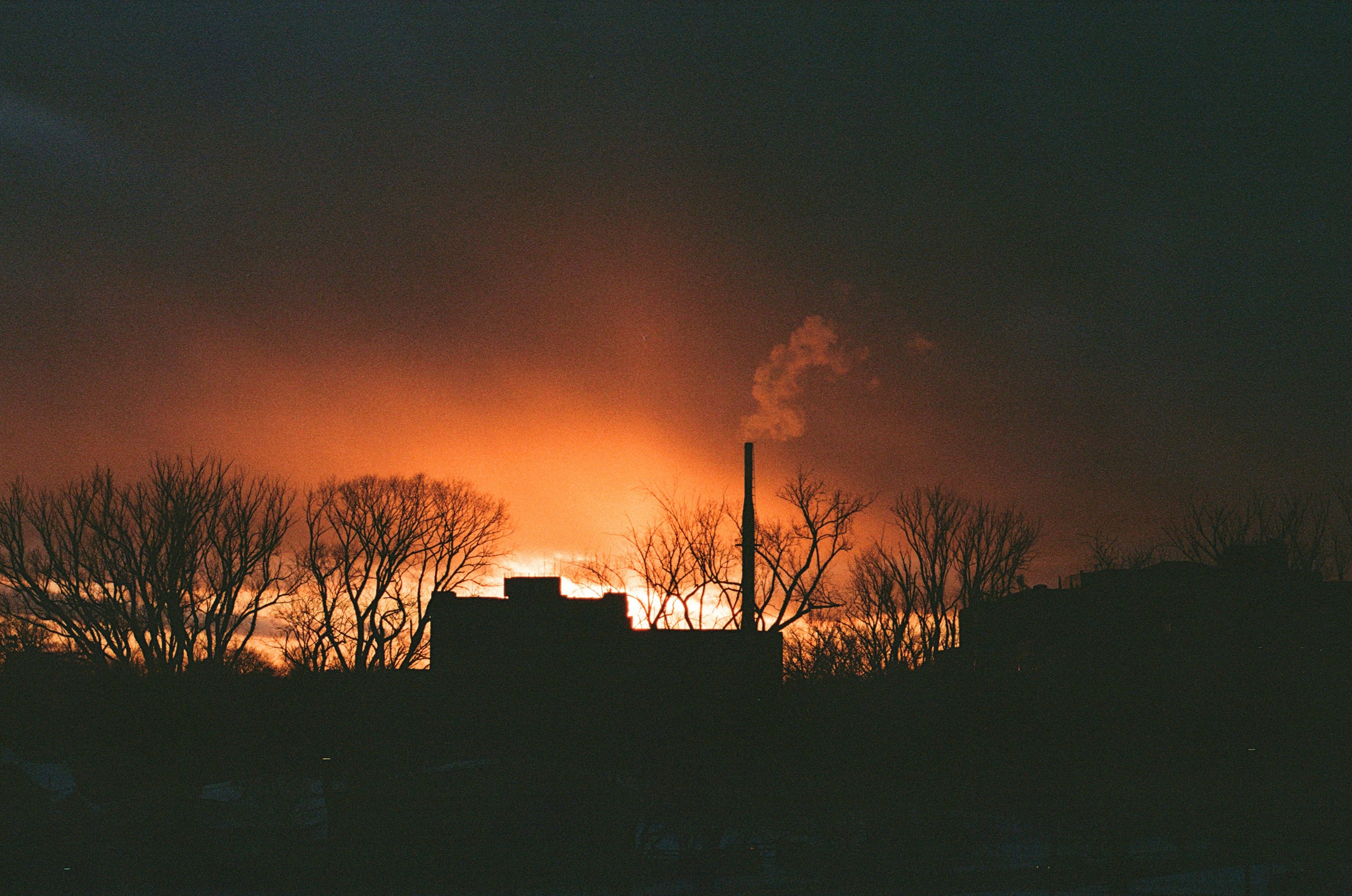 Photo by tannermess
