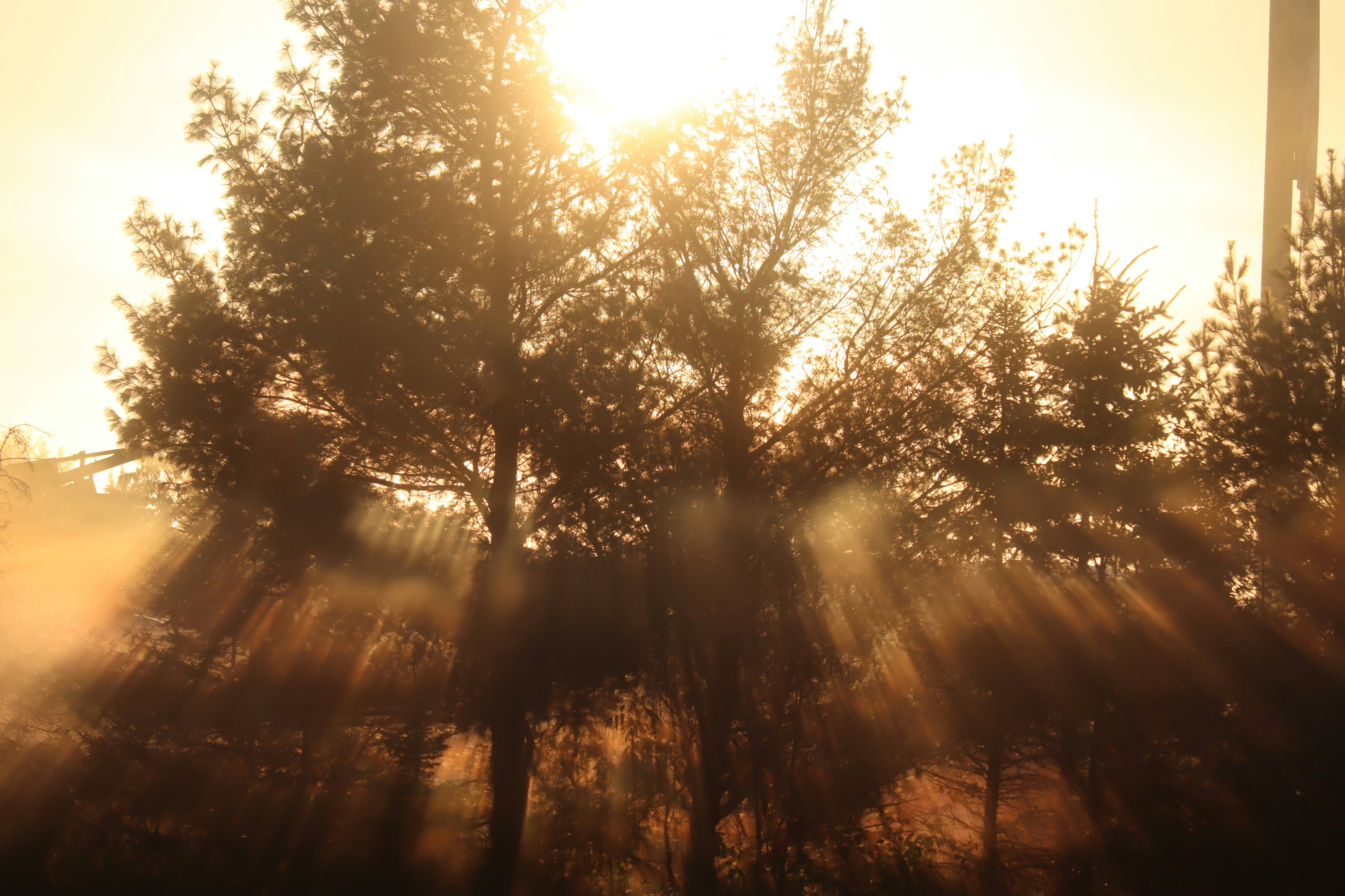 Photo by wisconsinpictures