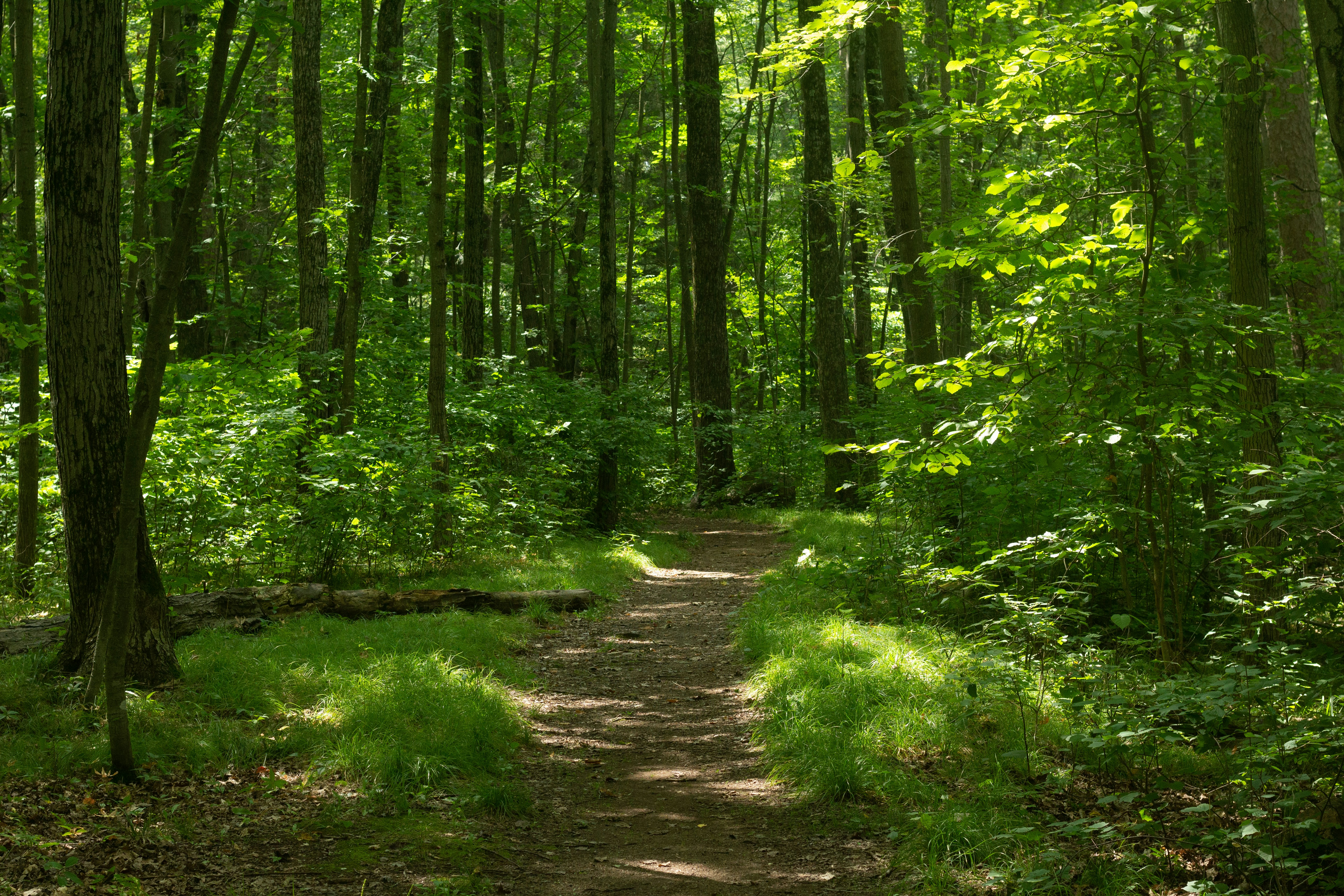 Photo by wisconsinpictures