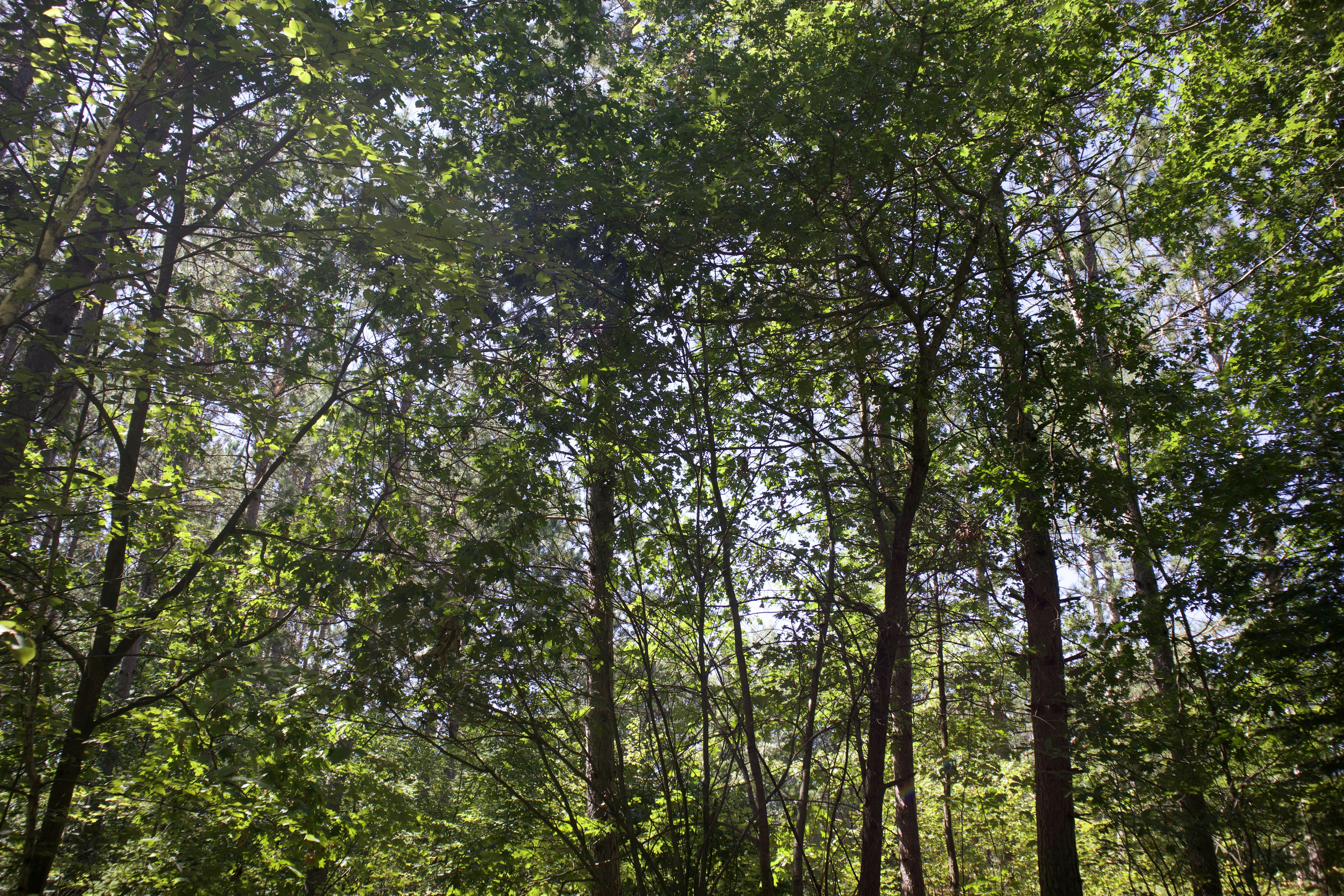 Photo by wisconsinpictures