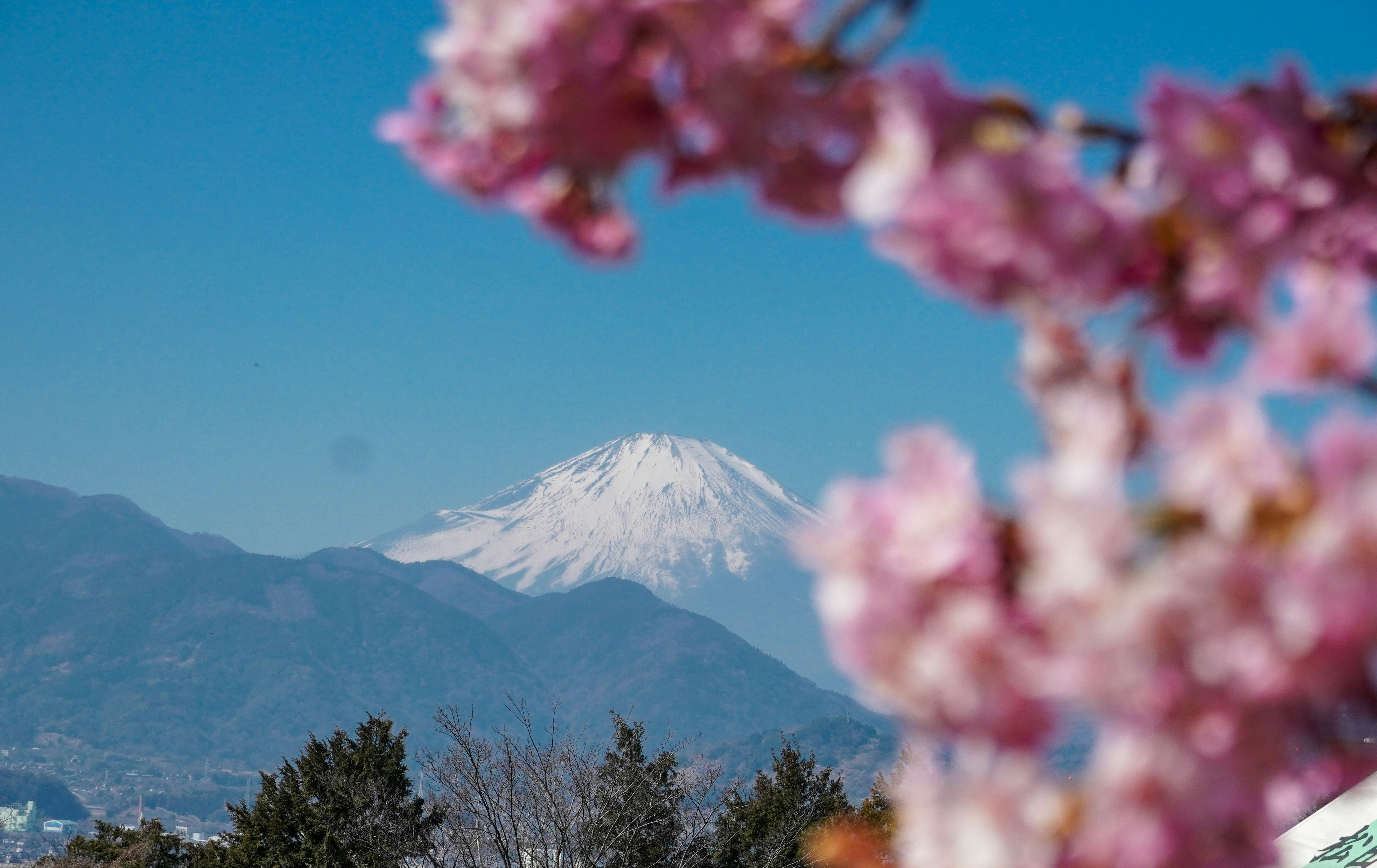 Photo by dsnphotography