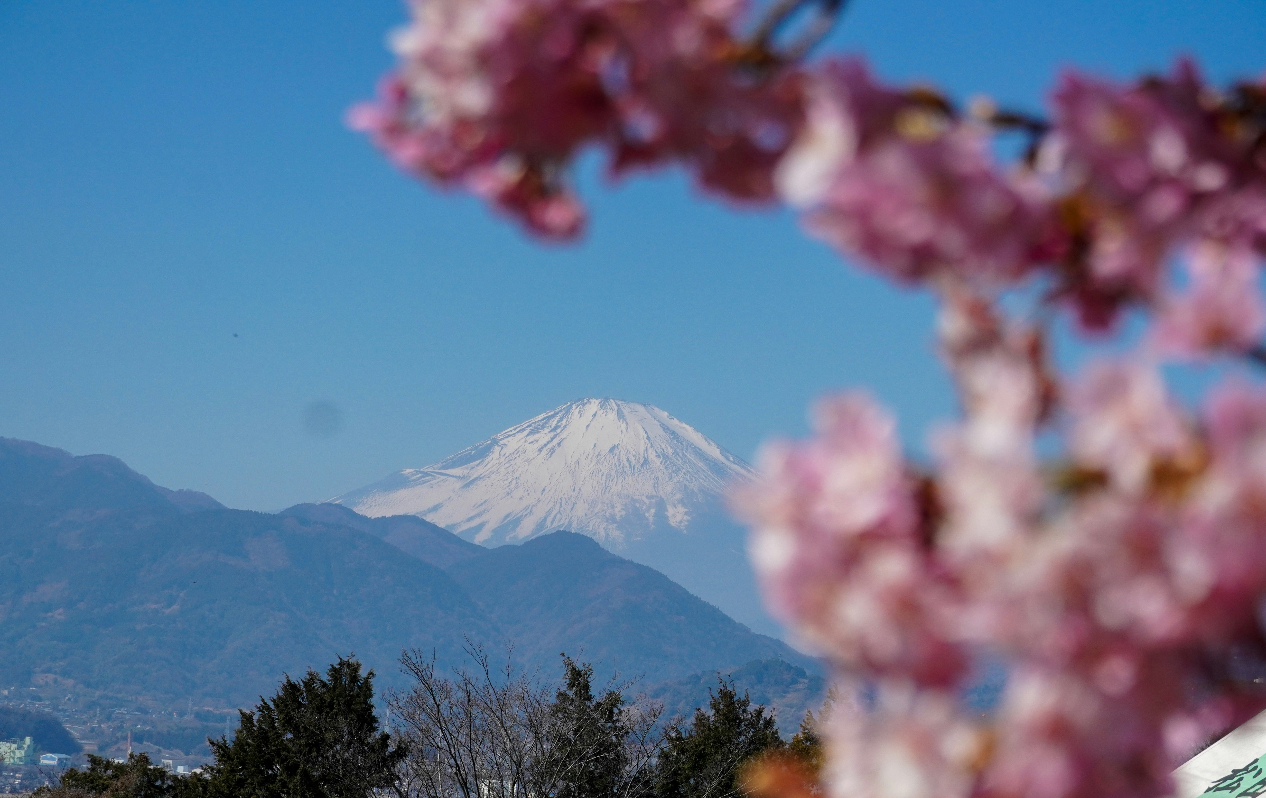 Photo by dsnphotography