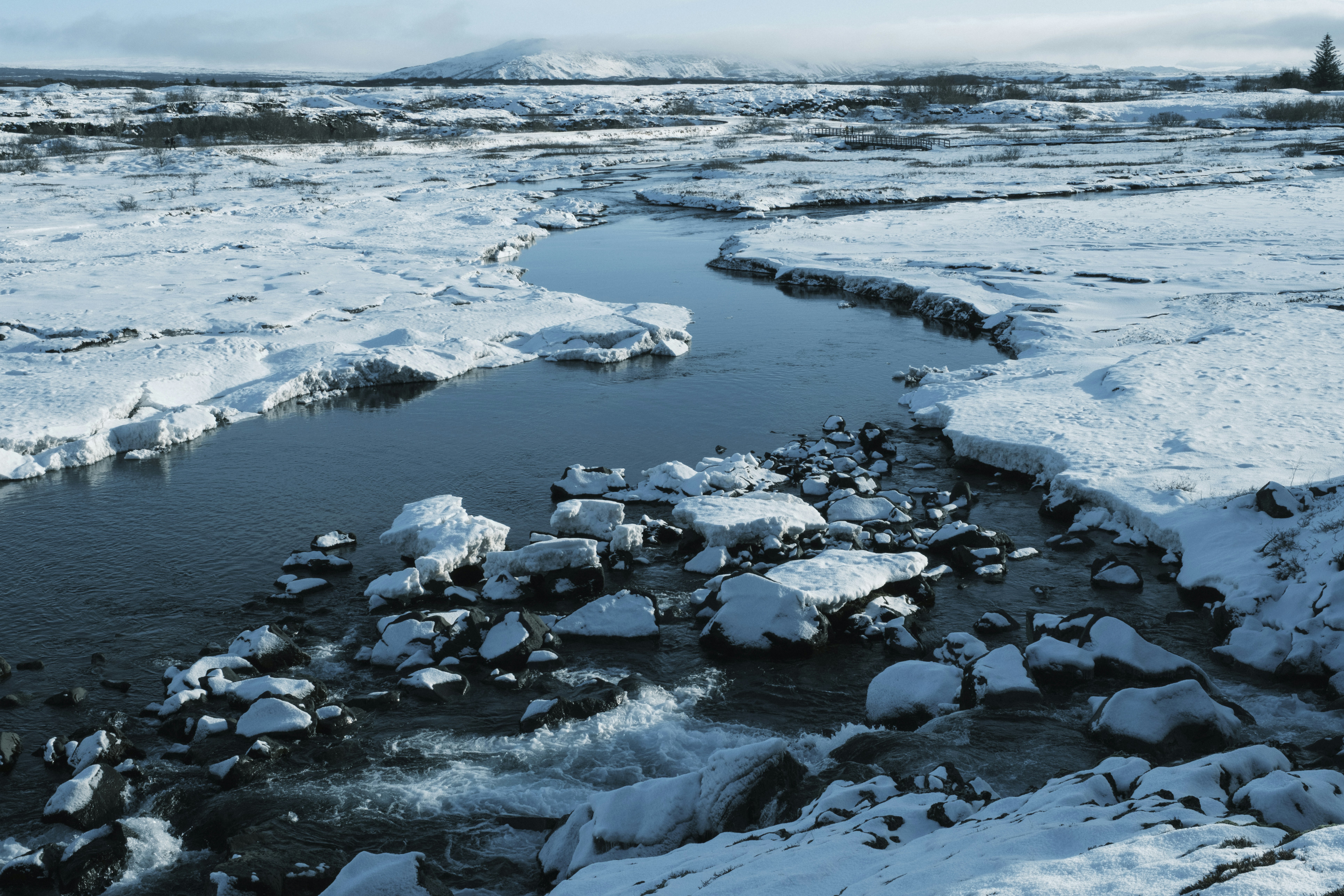 Photo by owenroth_v1