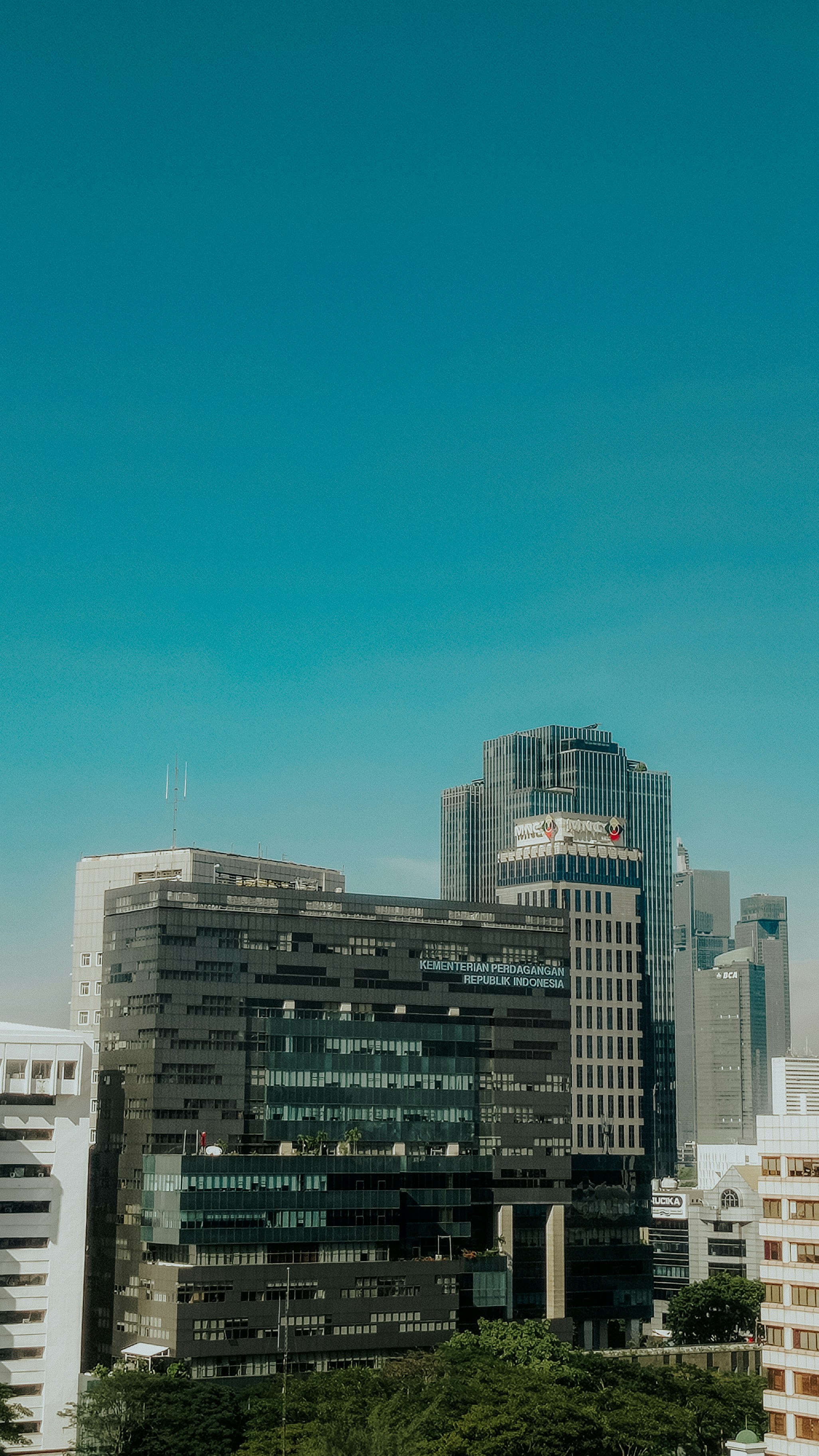 business indonesia wallpaper, wallpaper, Bisnis Indonesia Premium: Keuntungan dan Cara Berlangganan 2