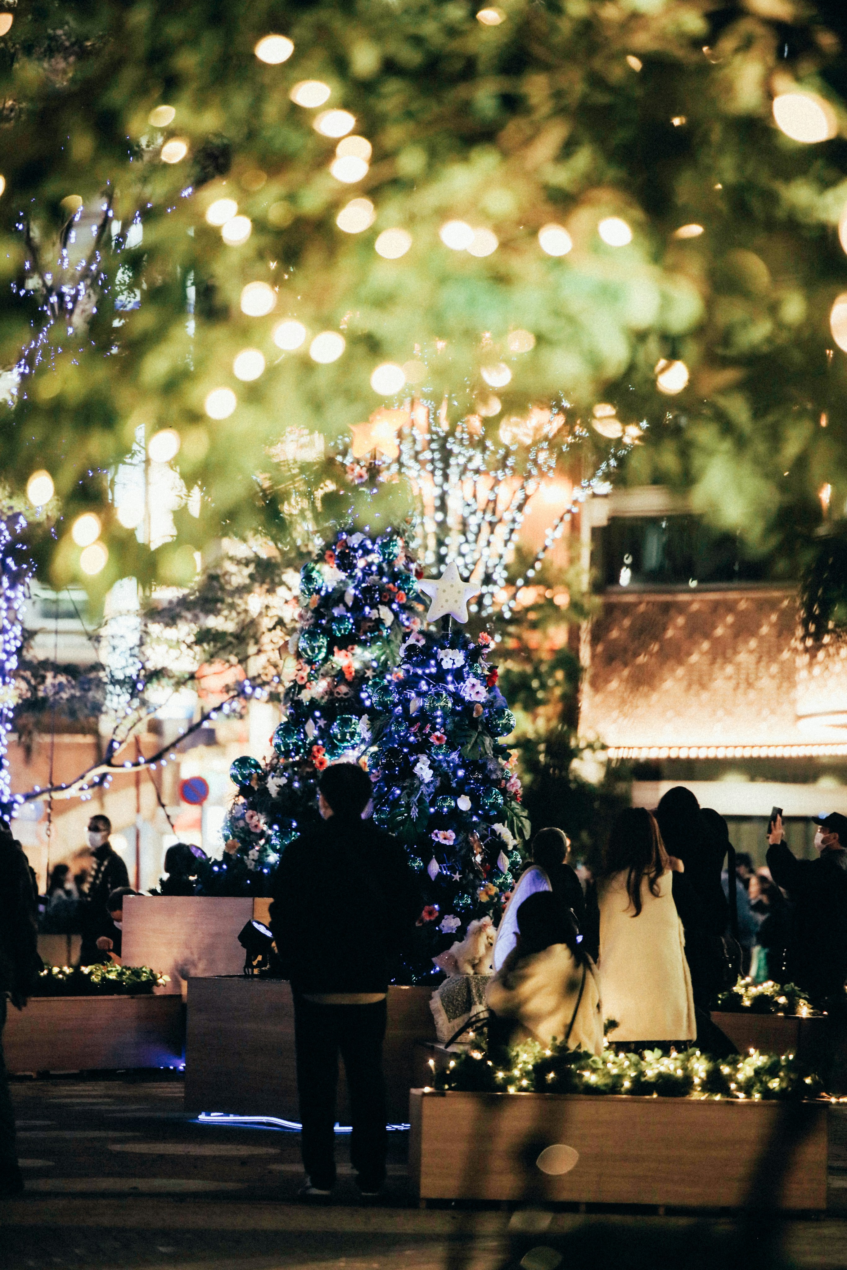 Photo by tsuyoshikozu